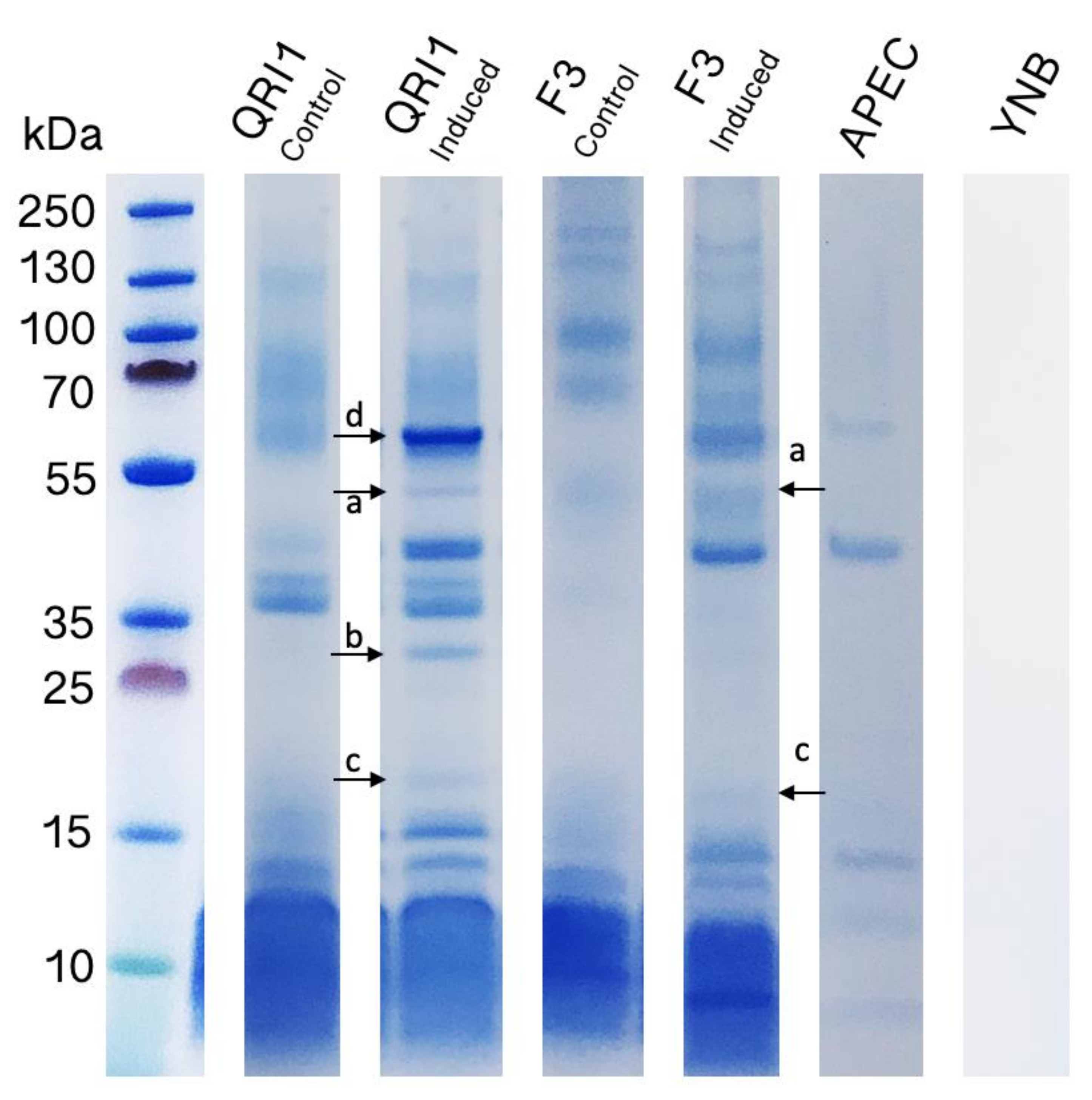 Biology 10 01227 g006