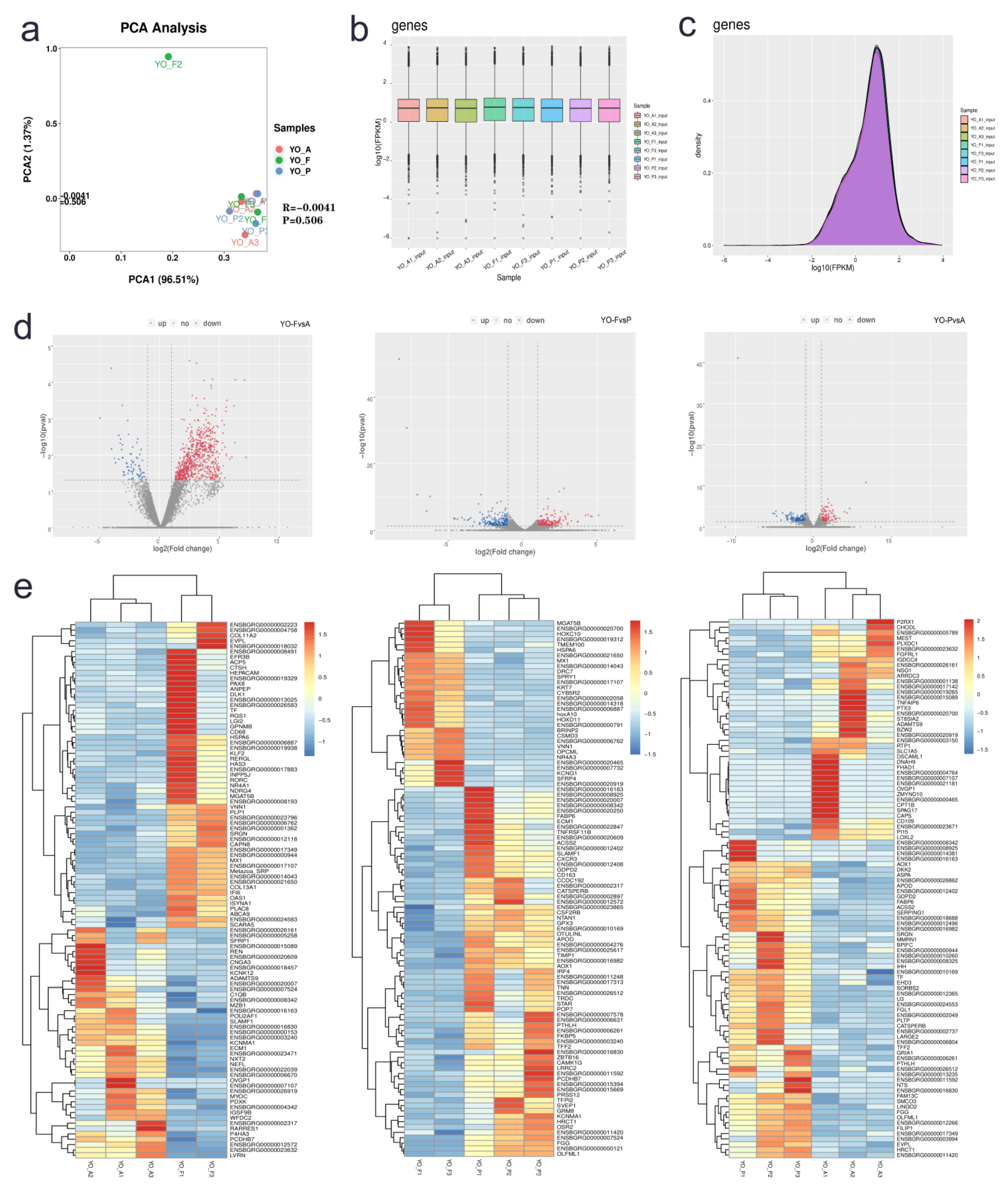 Biology 10 01229 g004 Biology 10 01229 g004