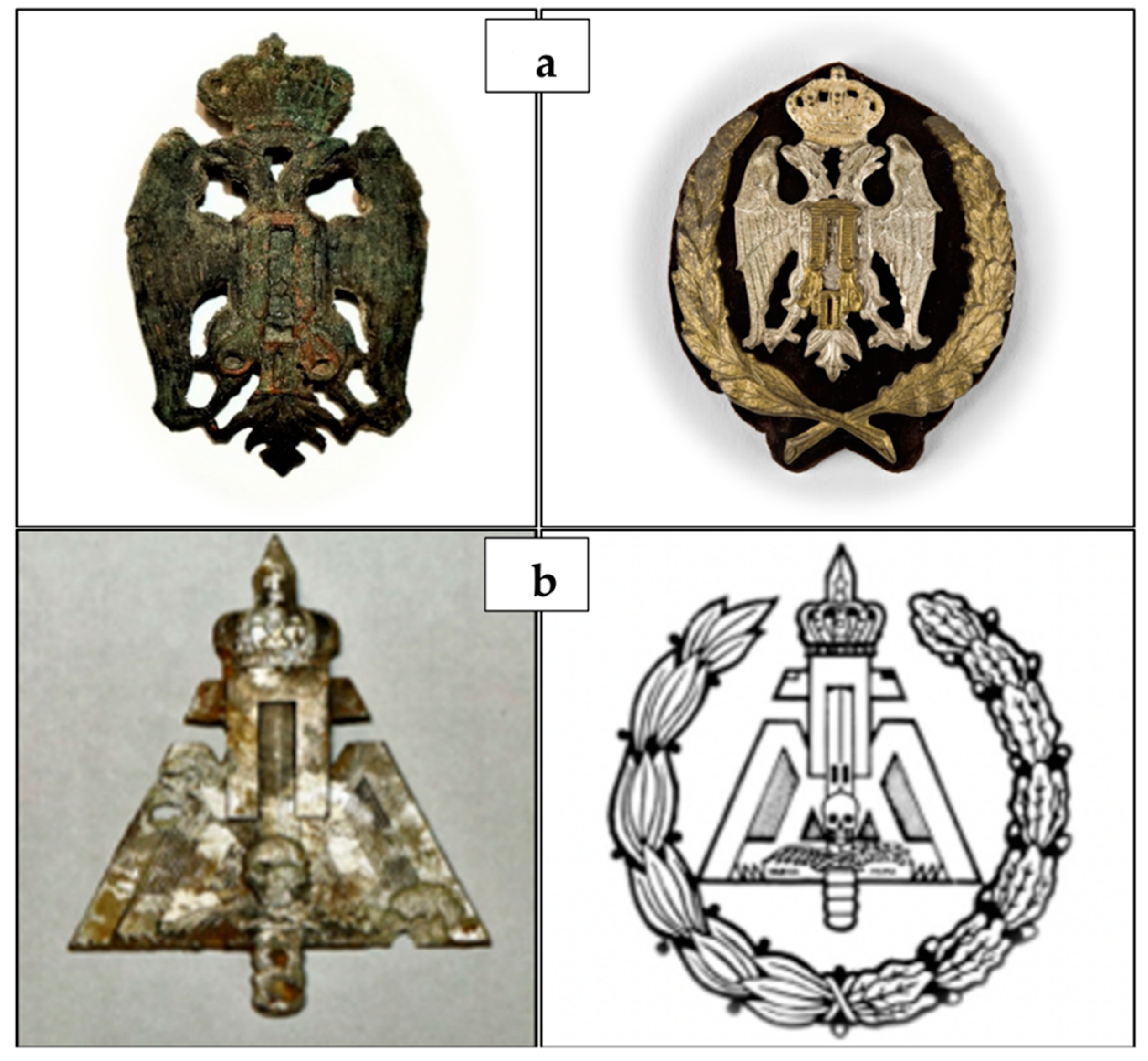 Biology 10 01231 g001