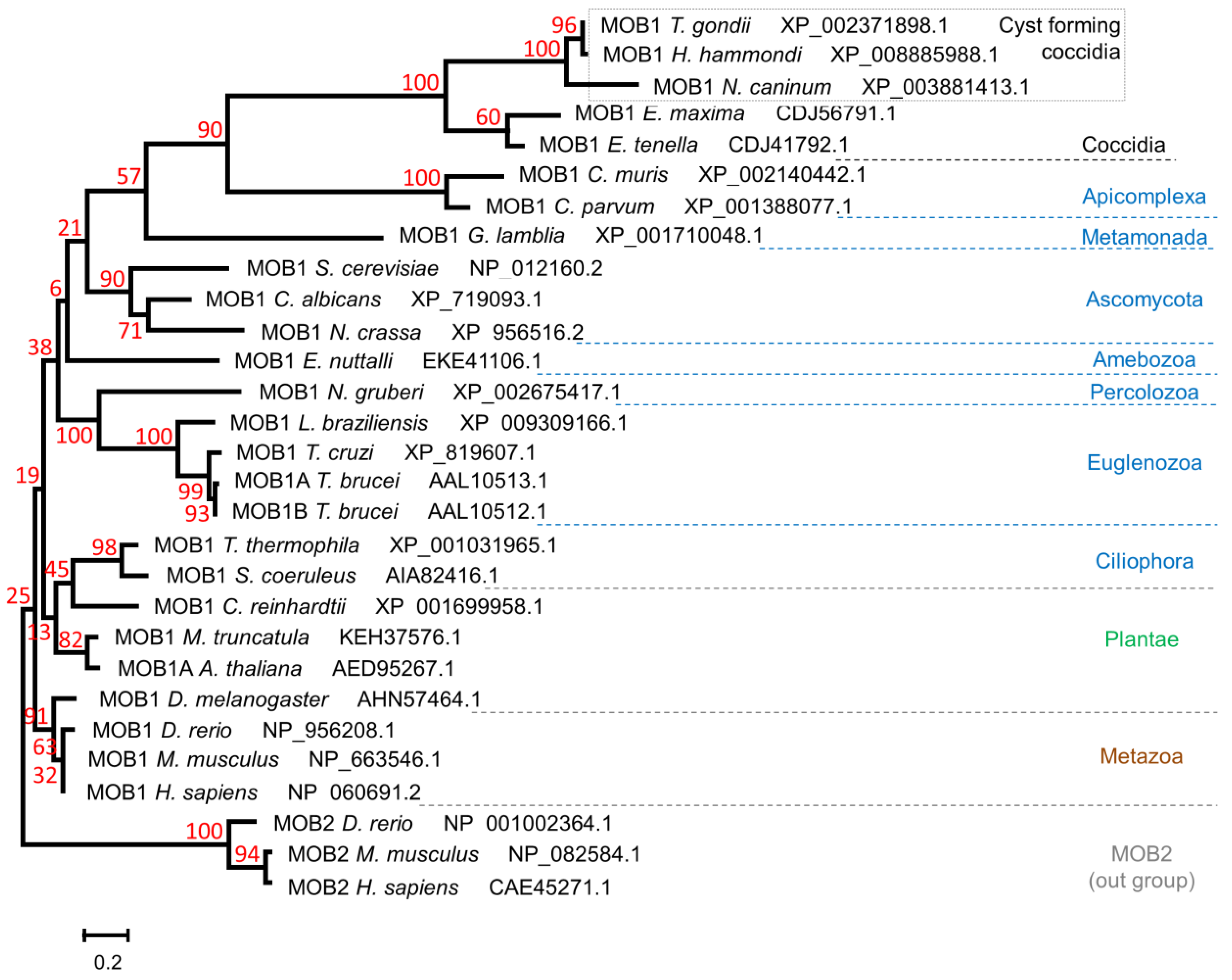 Biology 10 01233 g002 Biology 10 01233 g002
