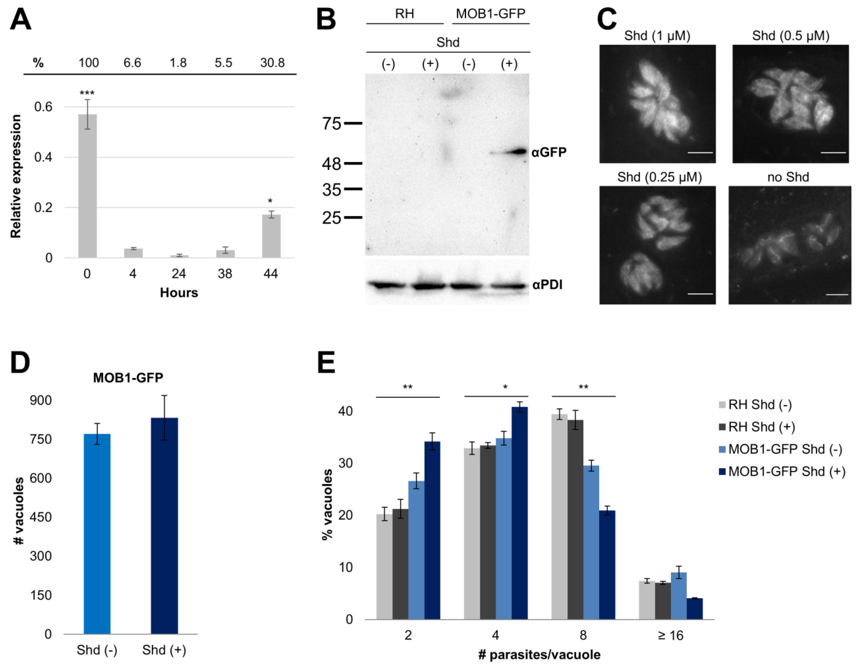 Biology 10 01233 g003 Biology 10 01233 g003