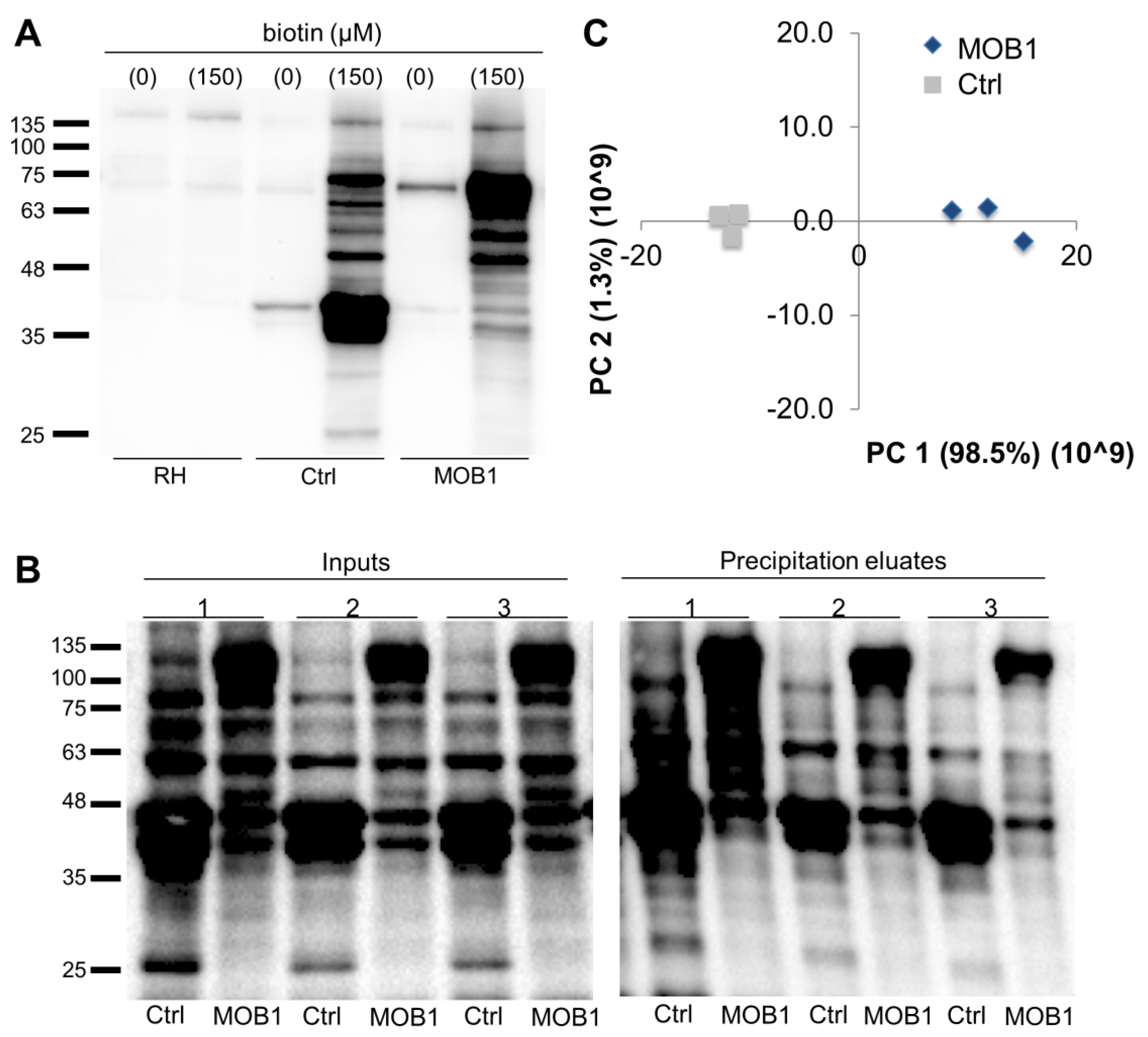 Biology 10 01233 g006 Biology 10 01233 g006