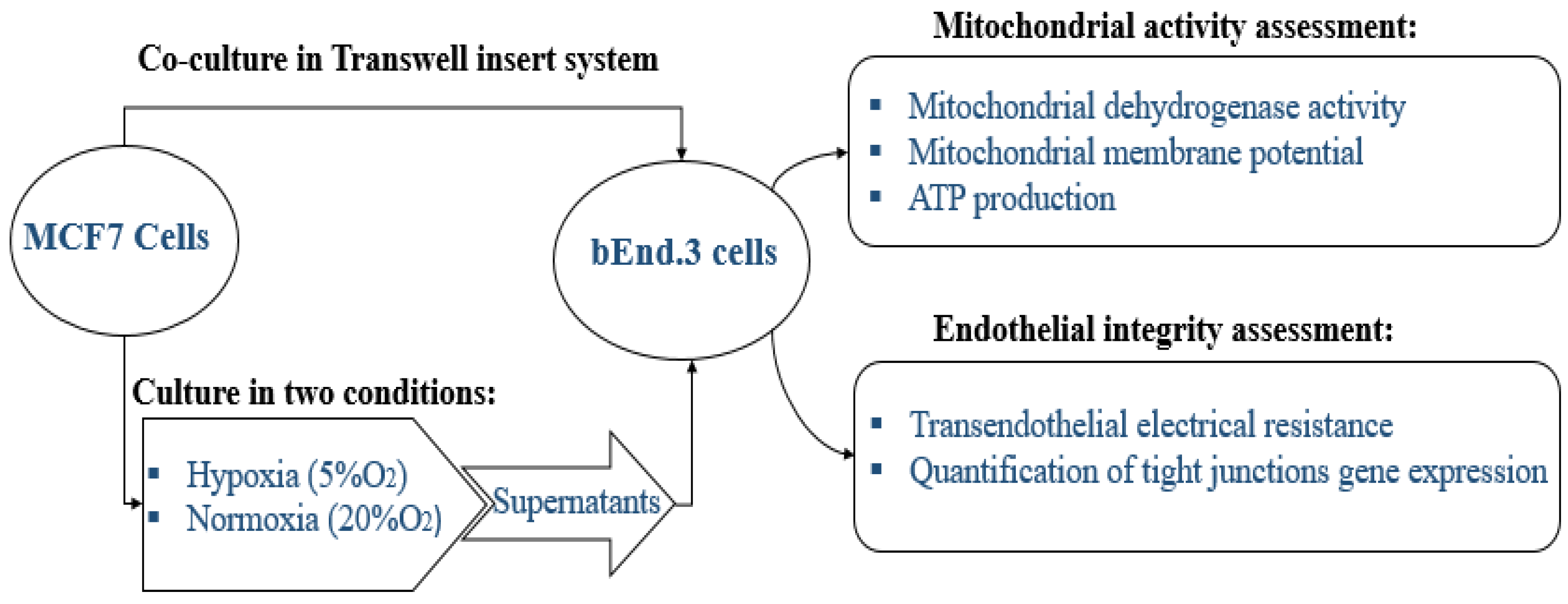 Biology 10 01238 g001