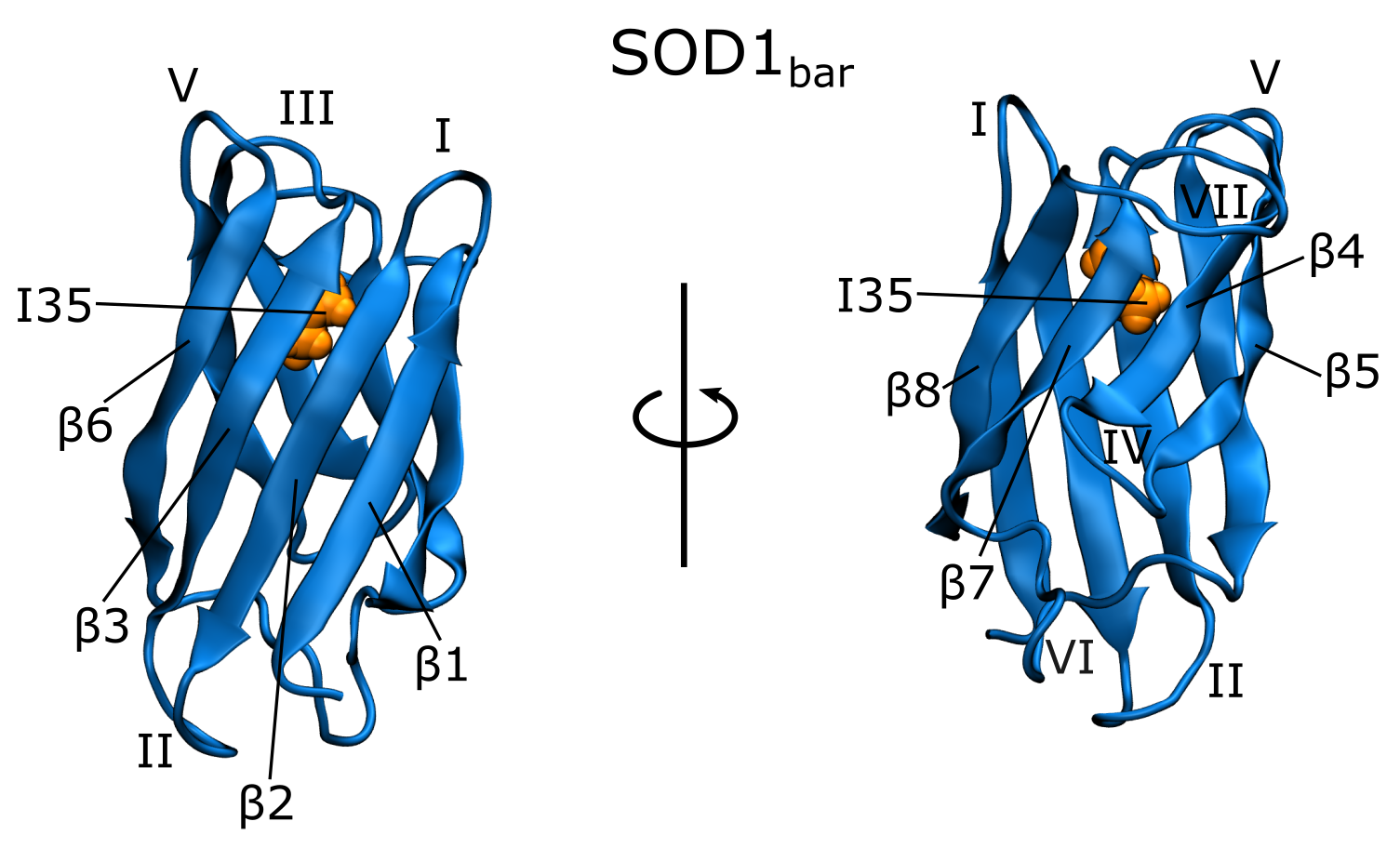 Biology 10 01240 g001 Biology 10 01240 g001