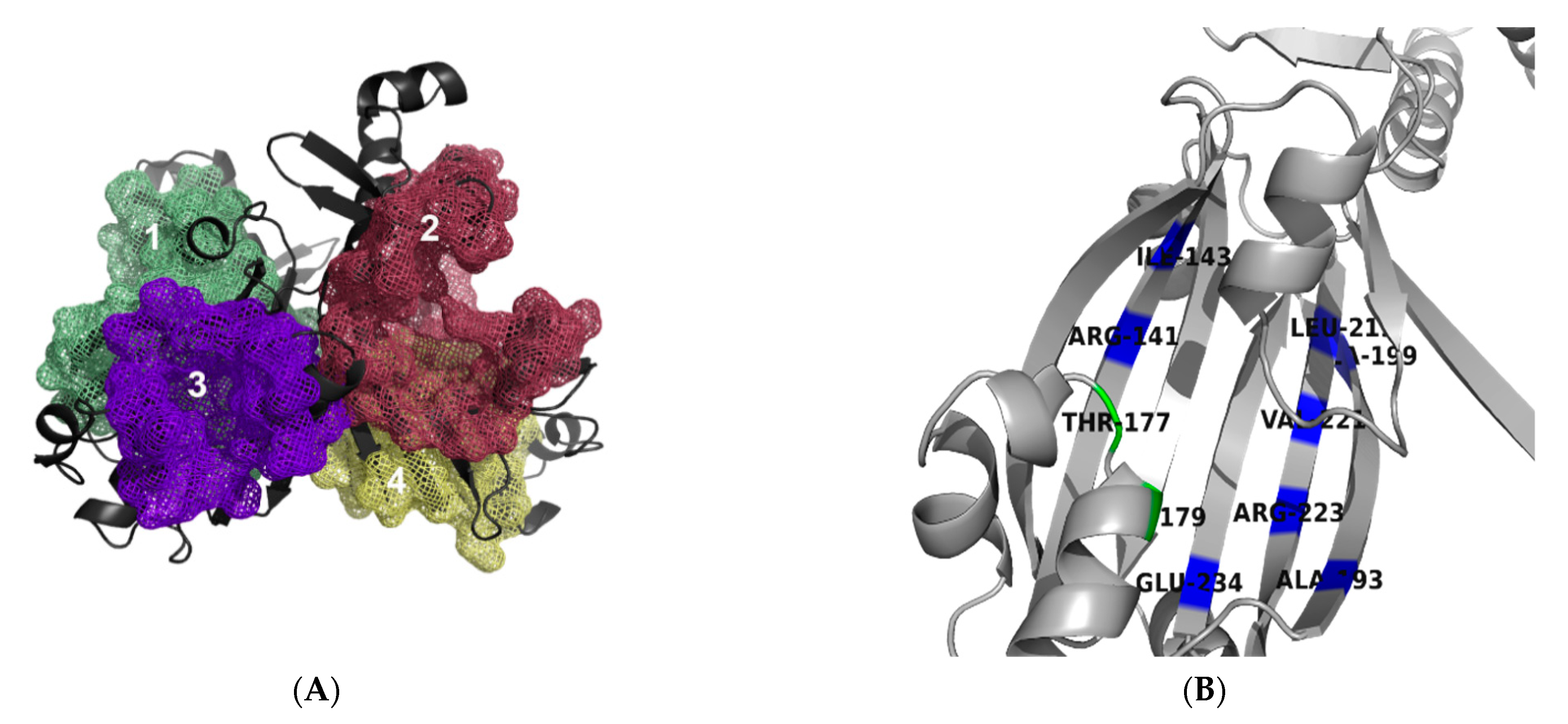 Biology 10 01241 g005 Biology 10 01241 g005