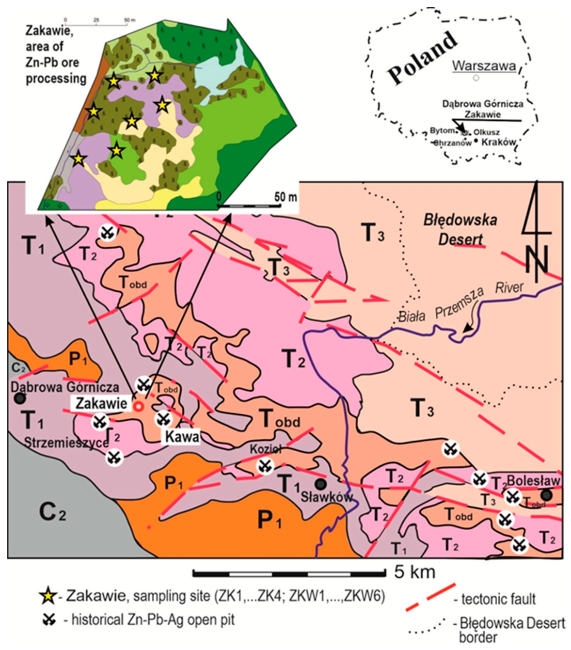 Biology 10 01242 g001
