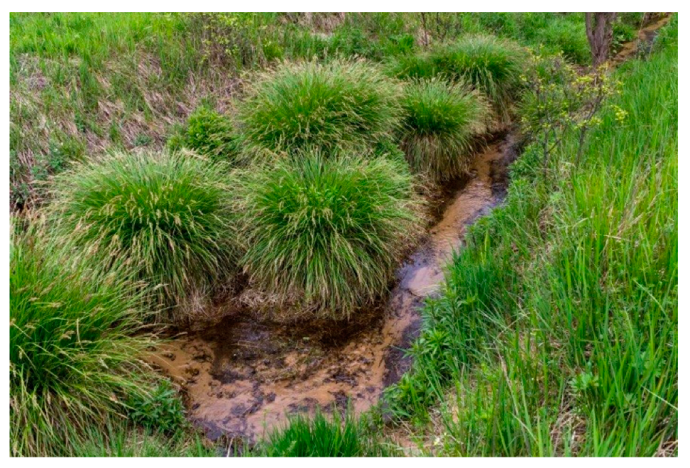 Biology 10 01242 g003