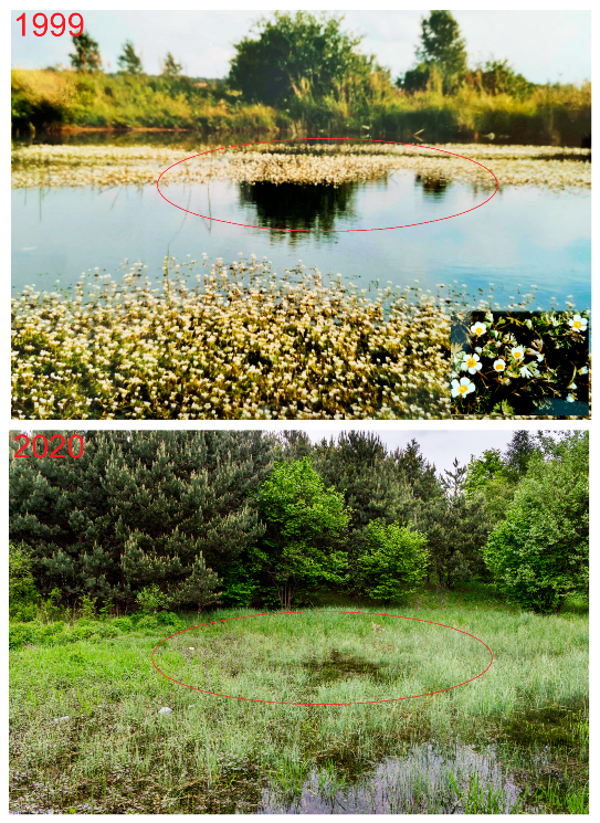 Biology 10 01242 g005