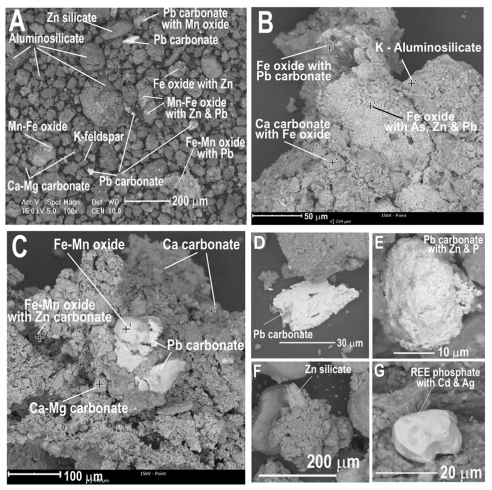 Biology 10 01242 g007