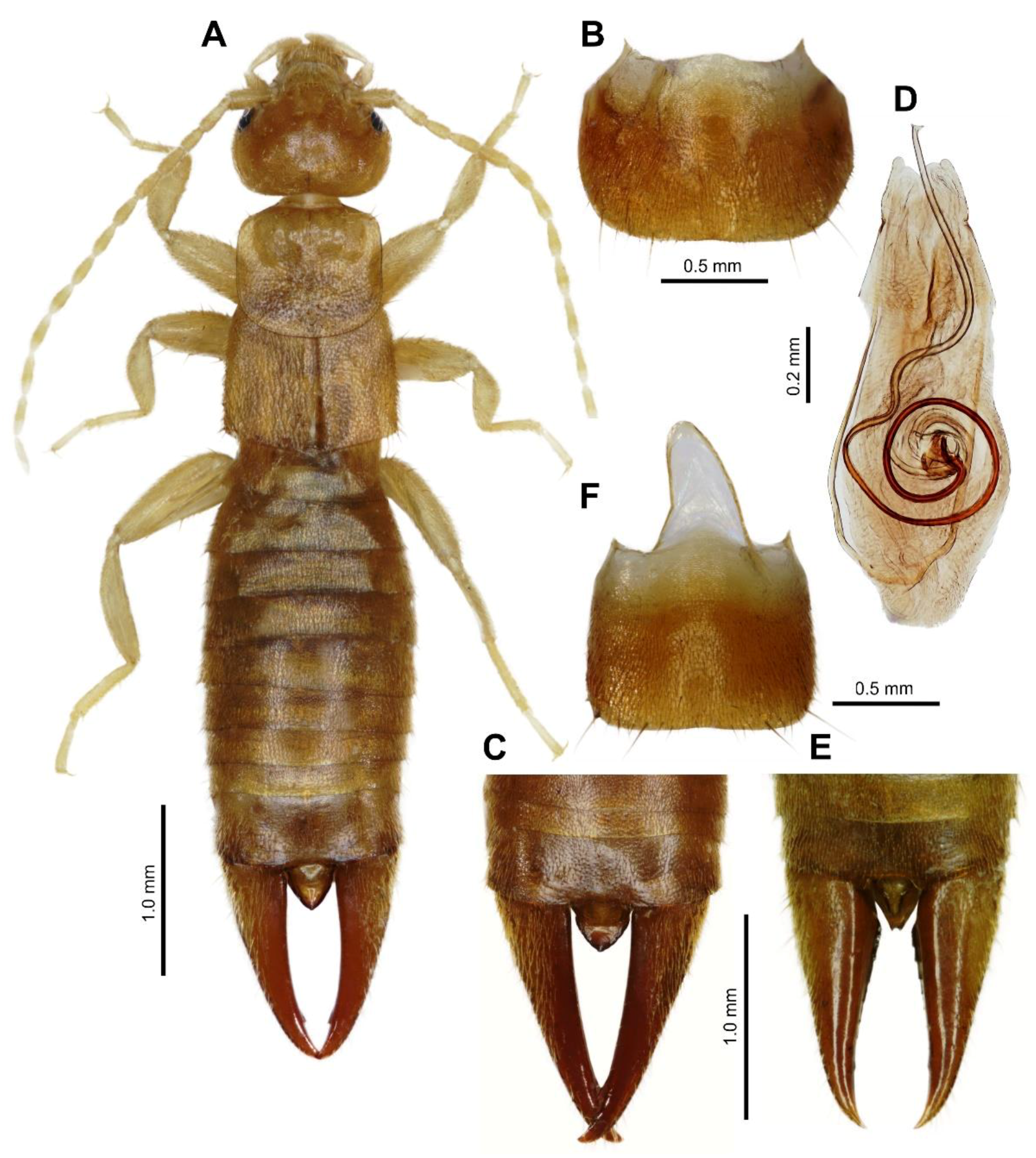 Biology 10 01243 g001 550