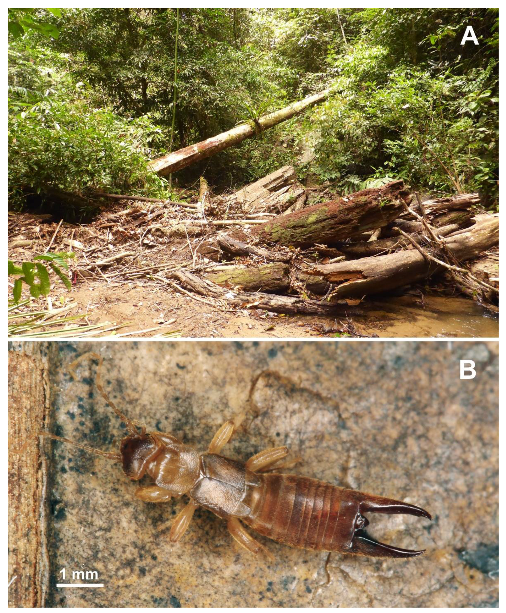 Biology 10 01243 g002 550