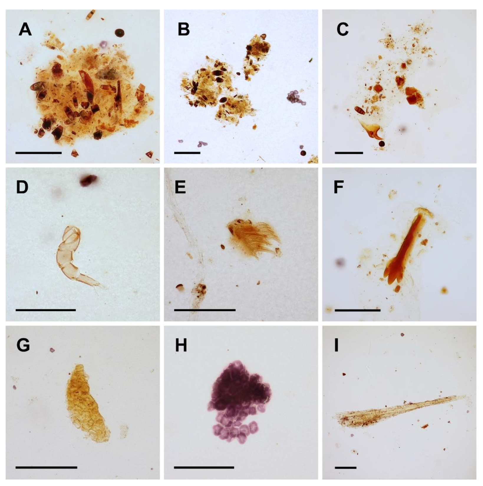 Biology 10 01243 g004 550