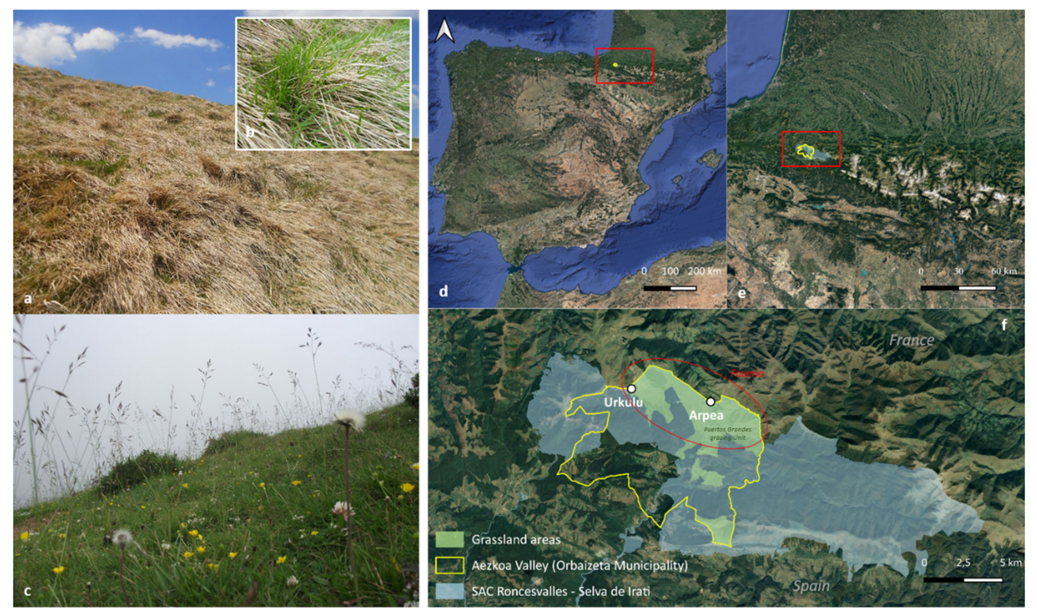 Biology 10 01246 g001 550