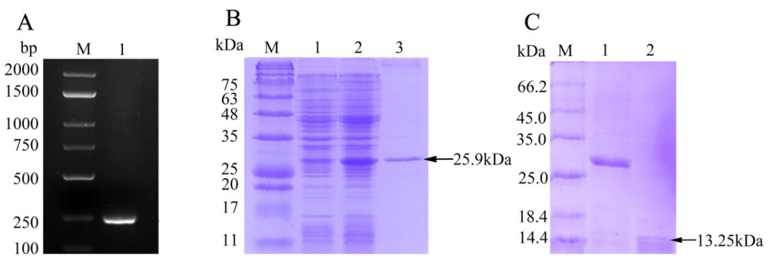 Biology 10 01247 g002