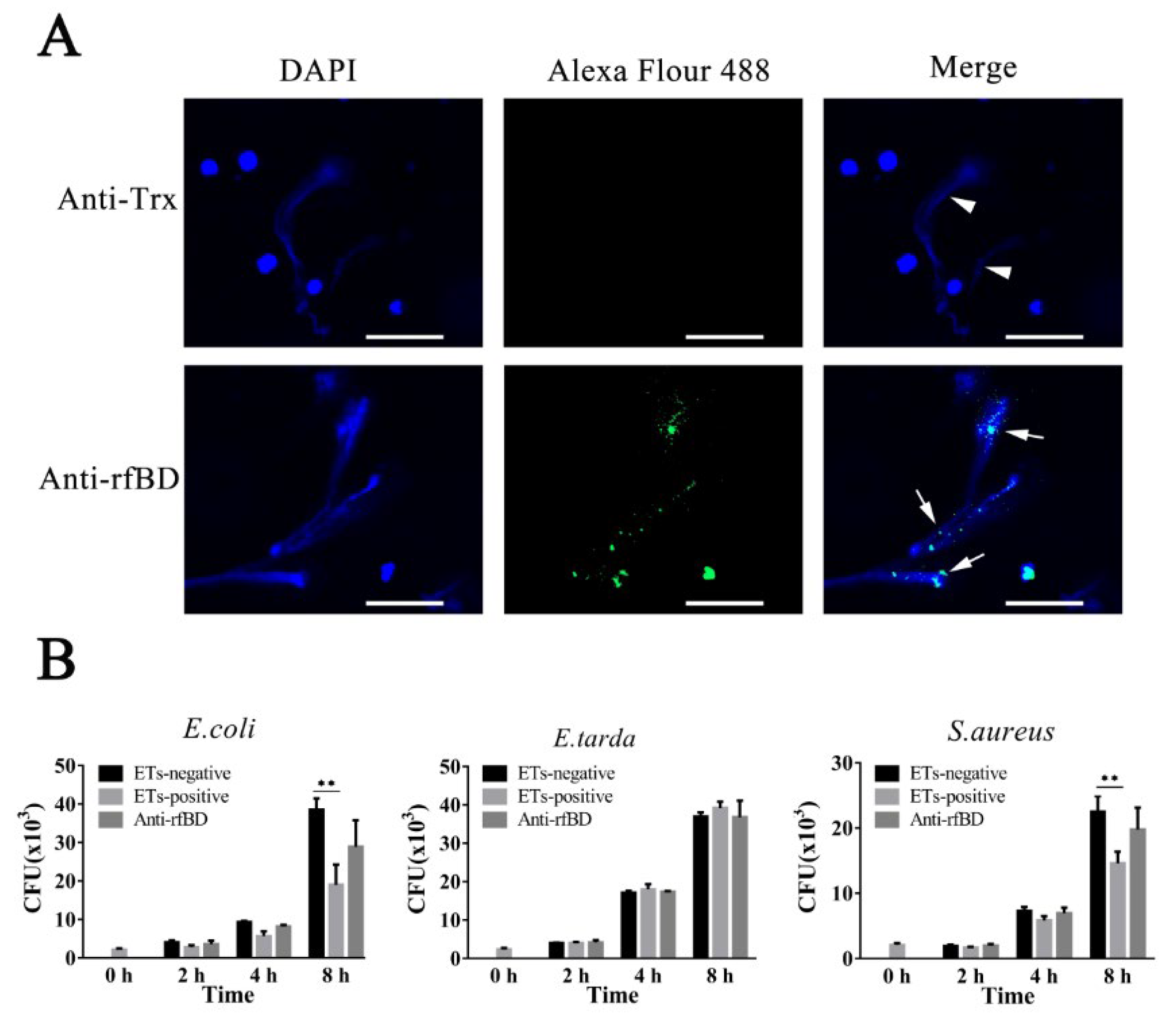 Biology 10 01247 g005