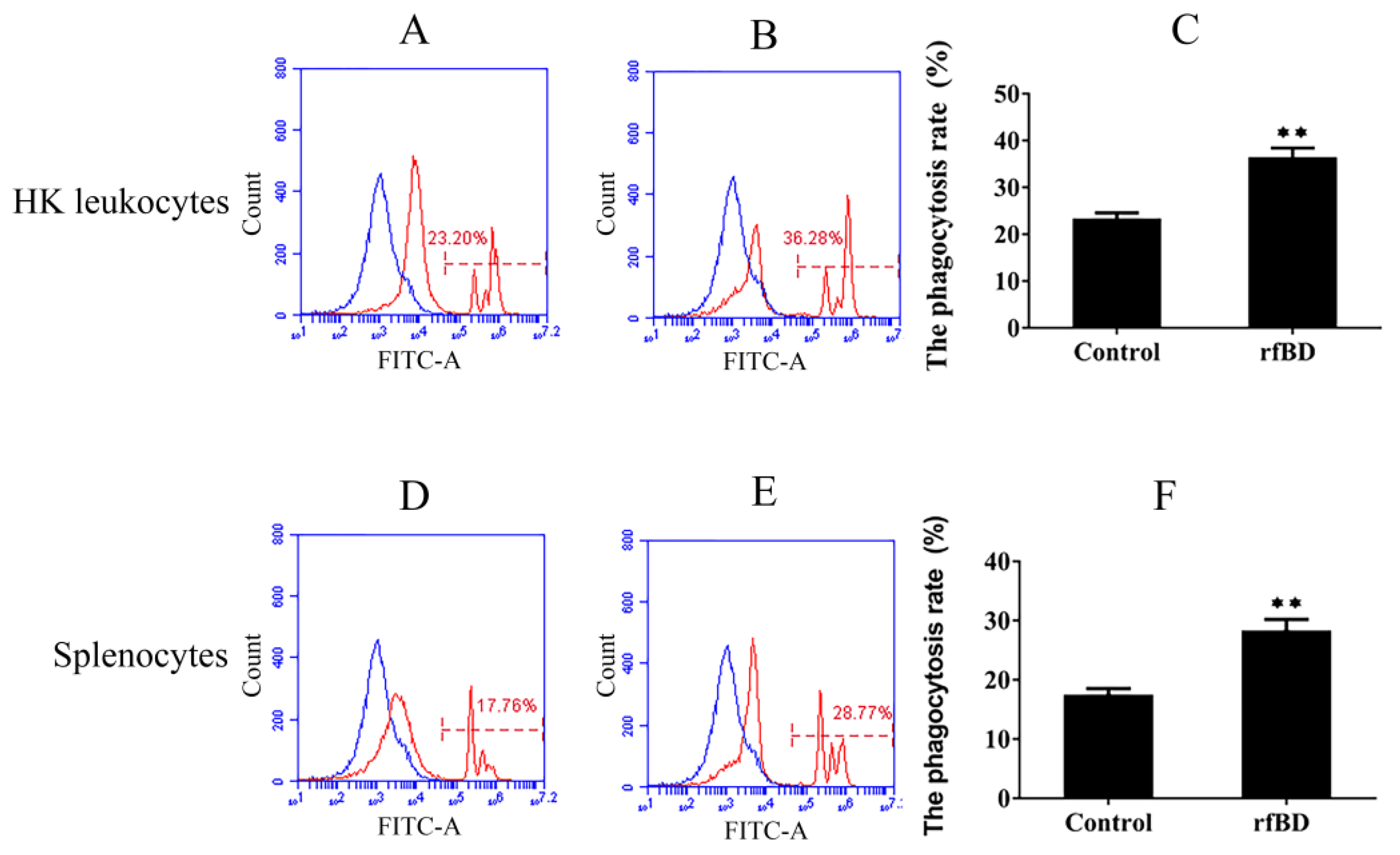 Biology 10 01247 g007