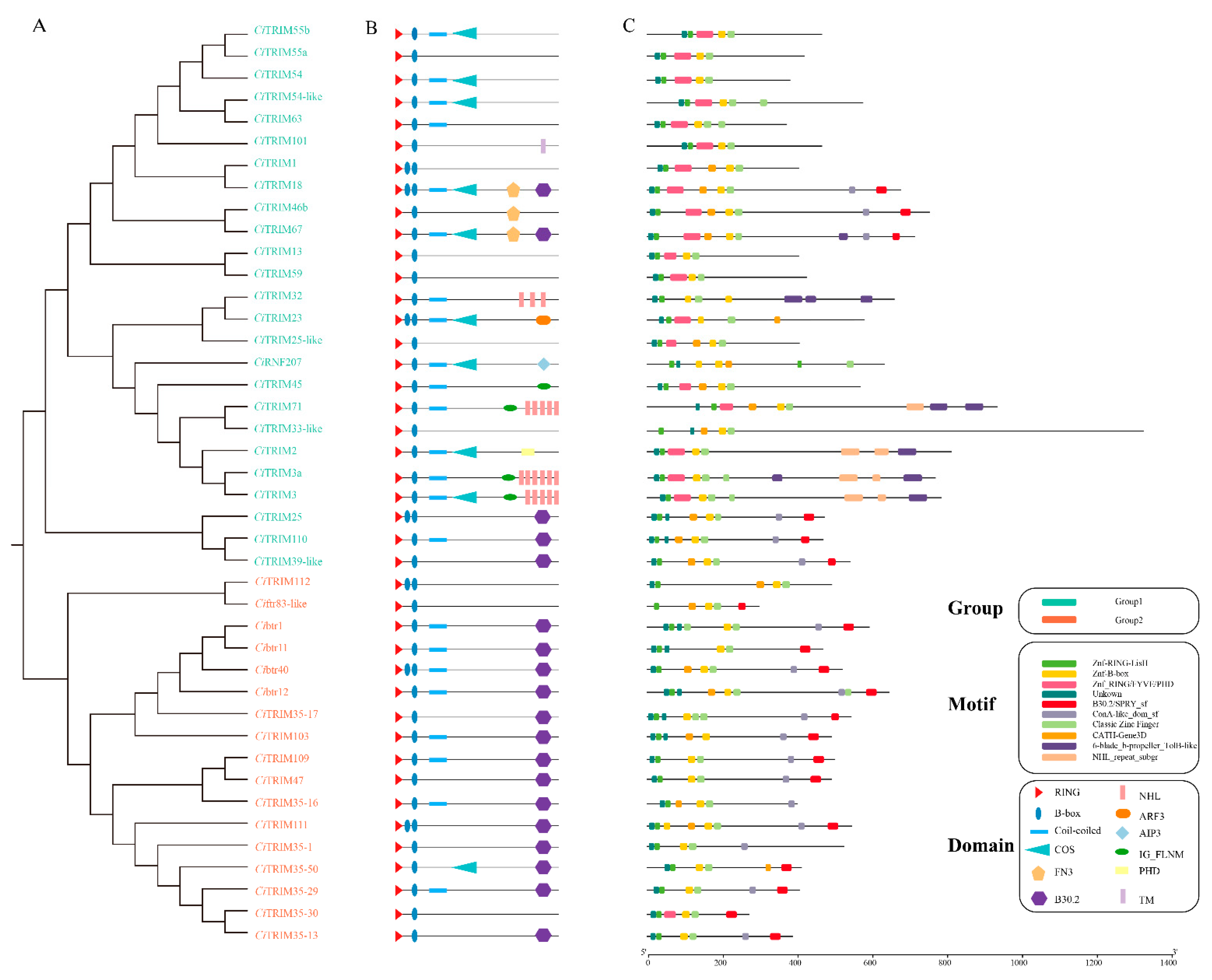 Biology 10 01252 g001