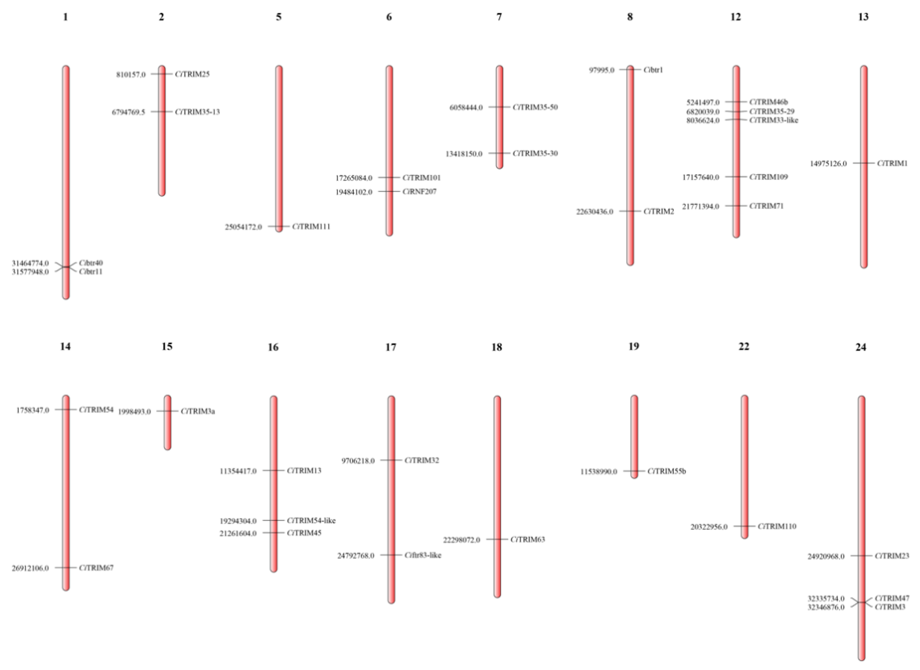Biology 10 01252 g002