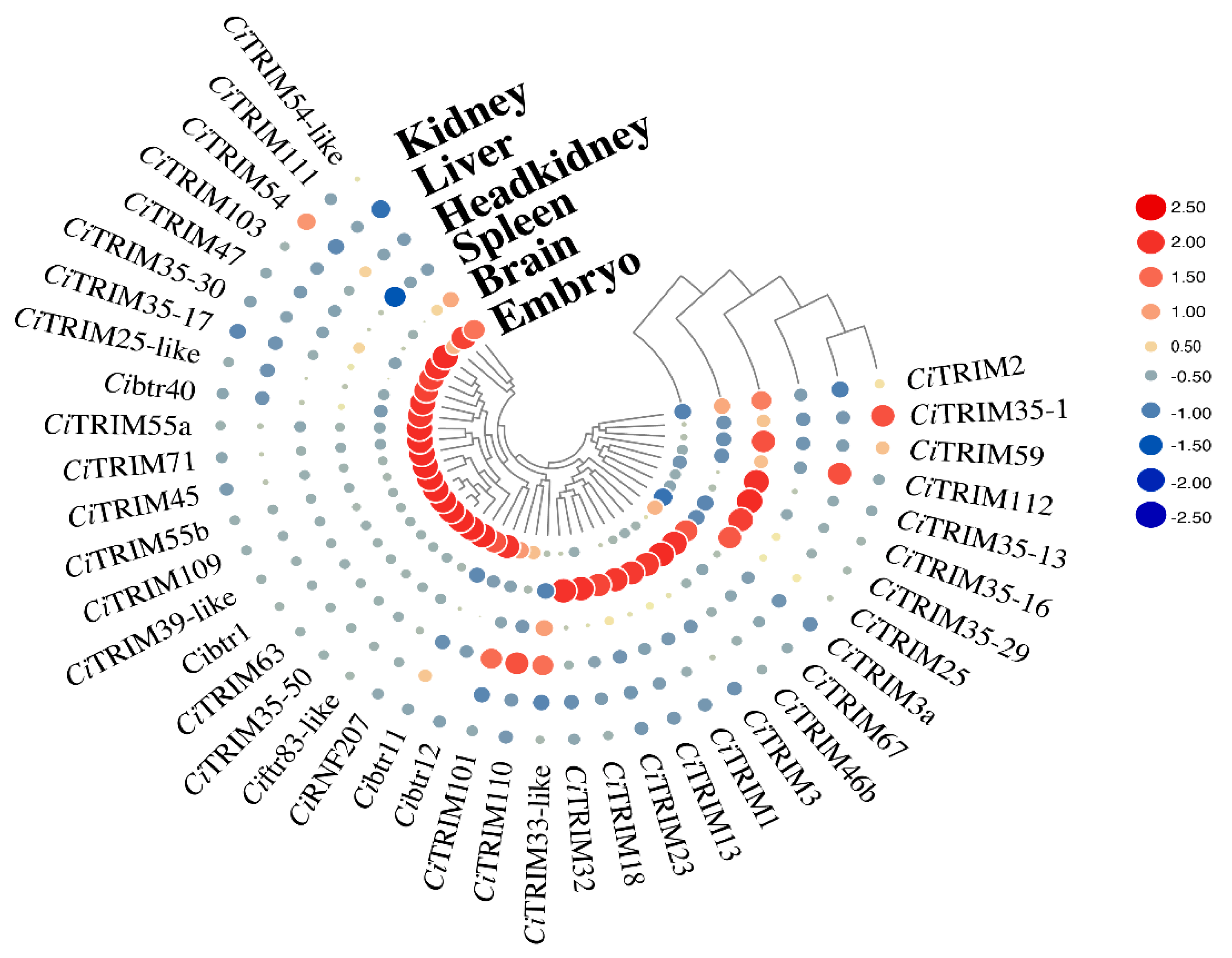 Biology 10 01252 g004