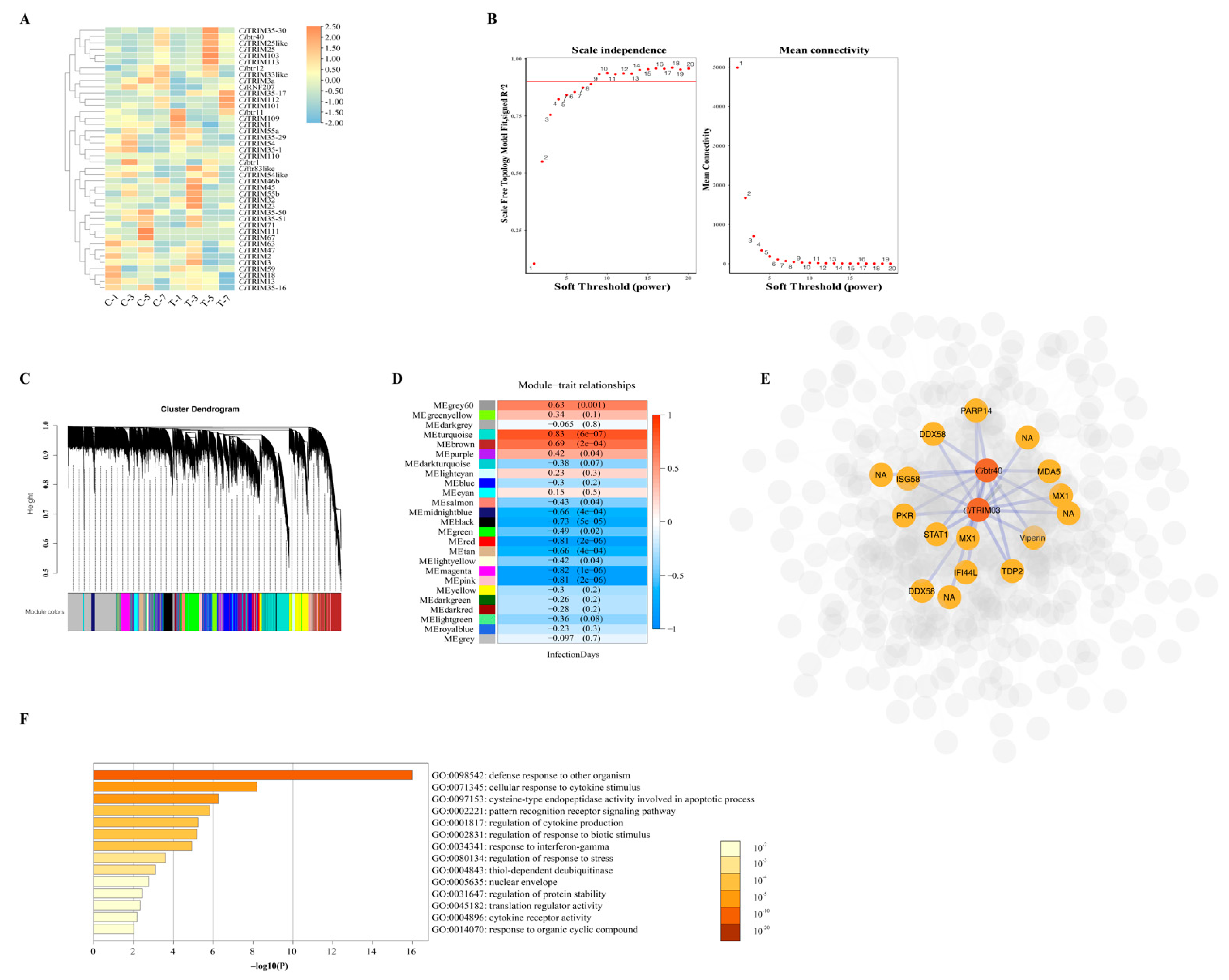 Biology 10 01252 g005