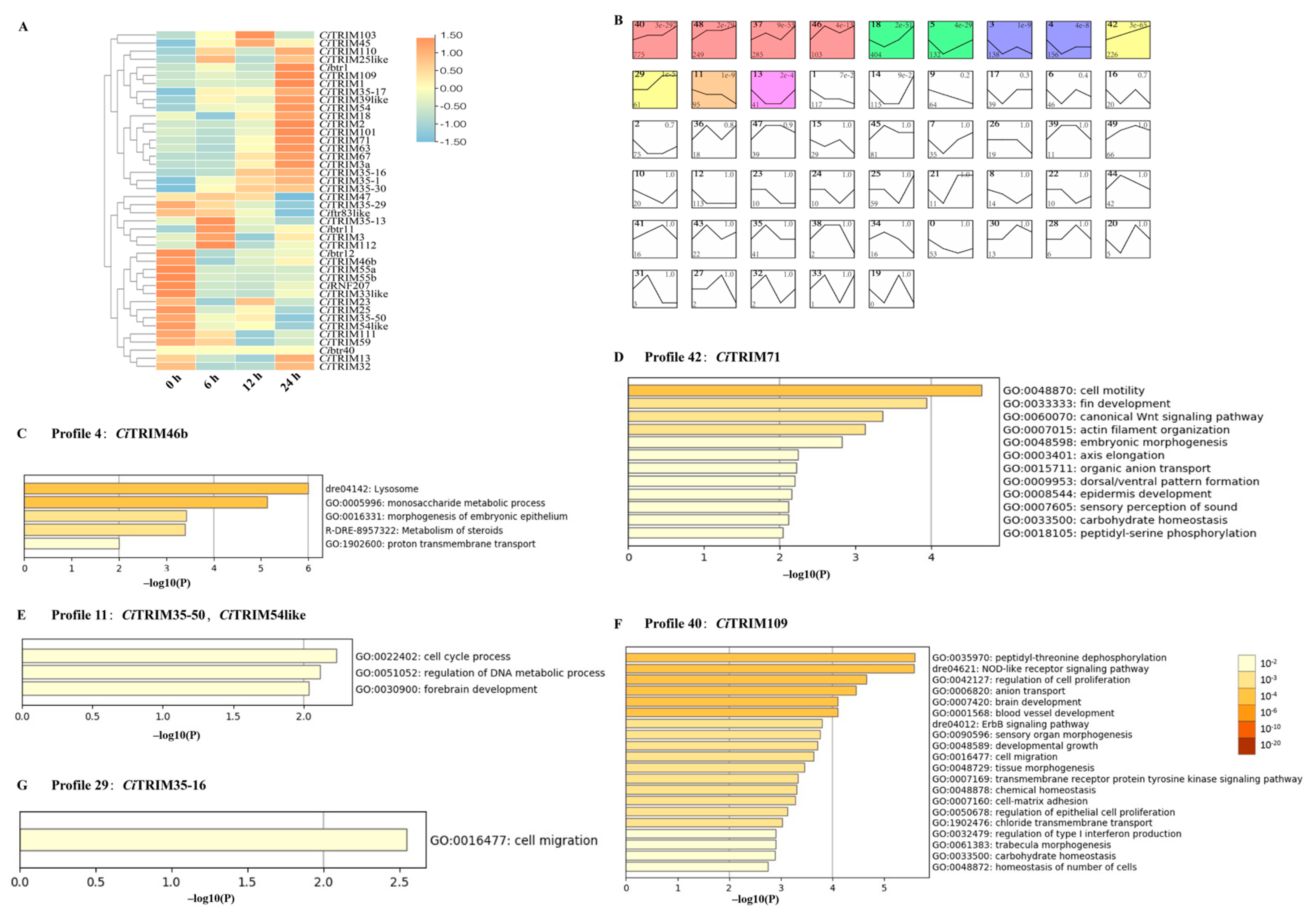 Biology 10 01252 g006