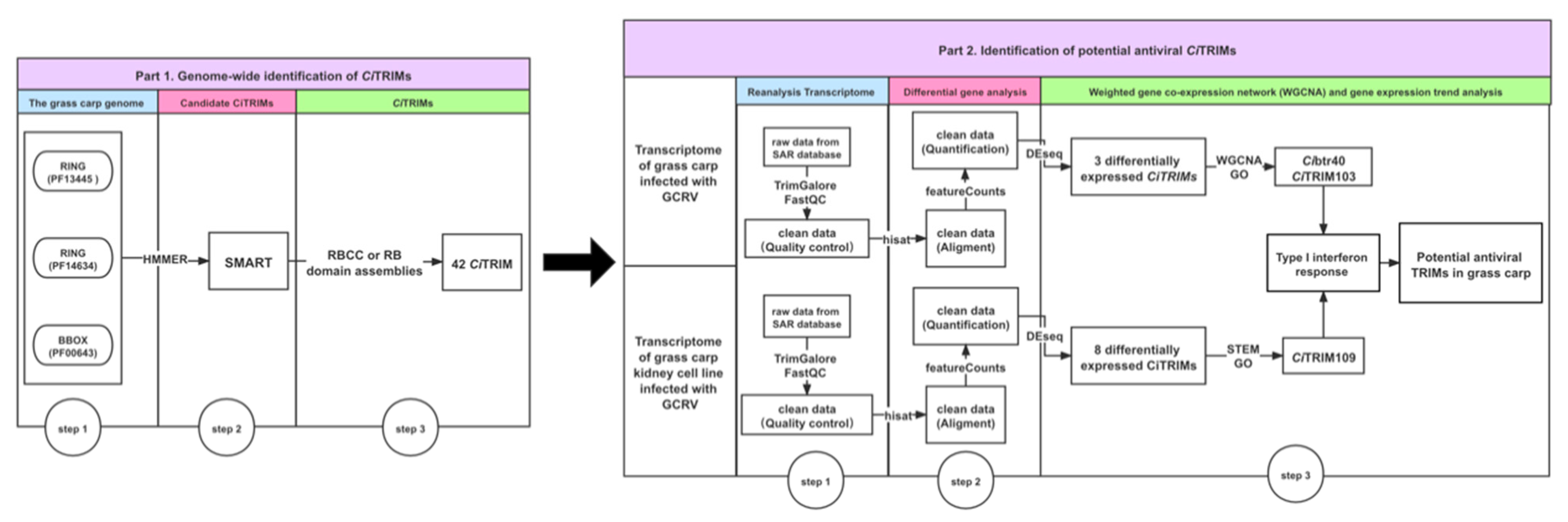Biology 10 01252 g008