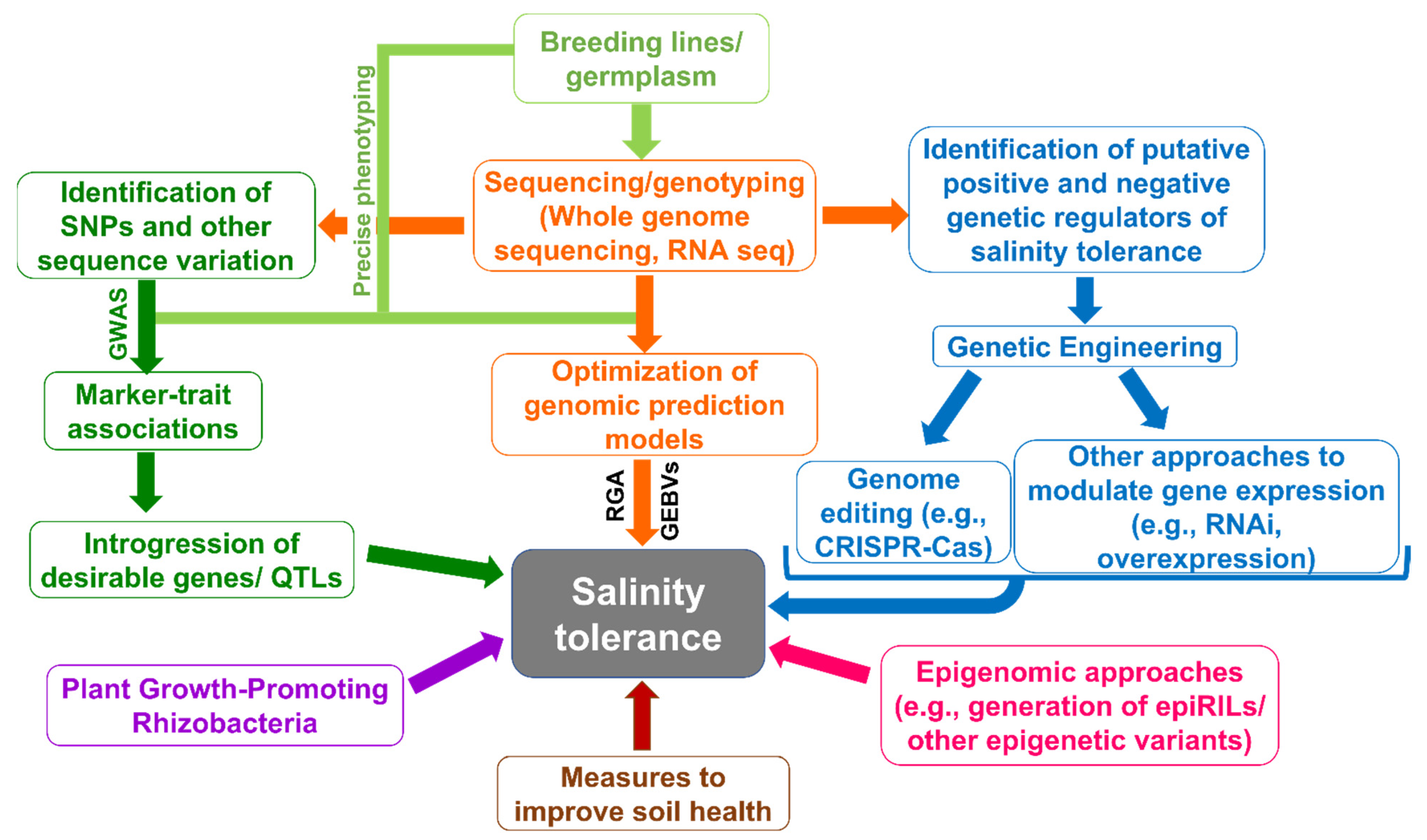 Biology 10 01255 g003 Biology 10 01255 g003