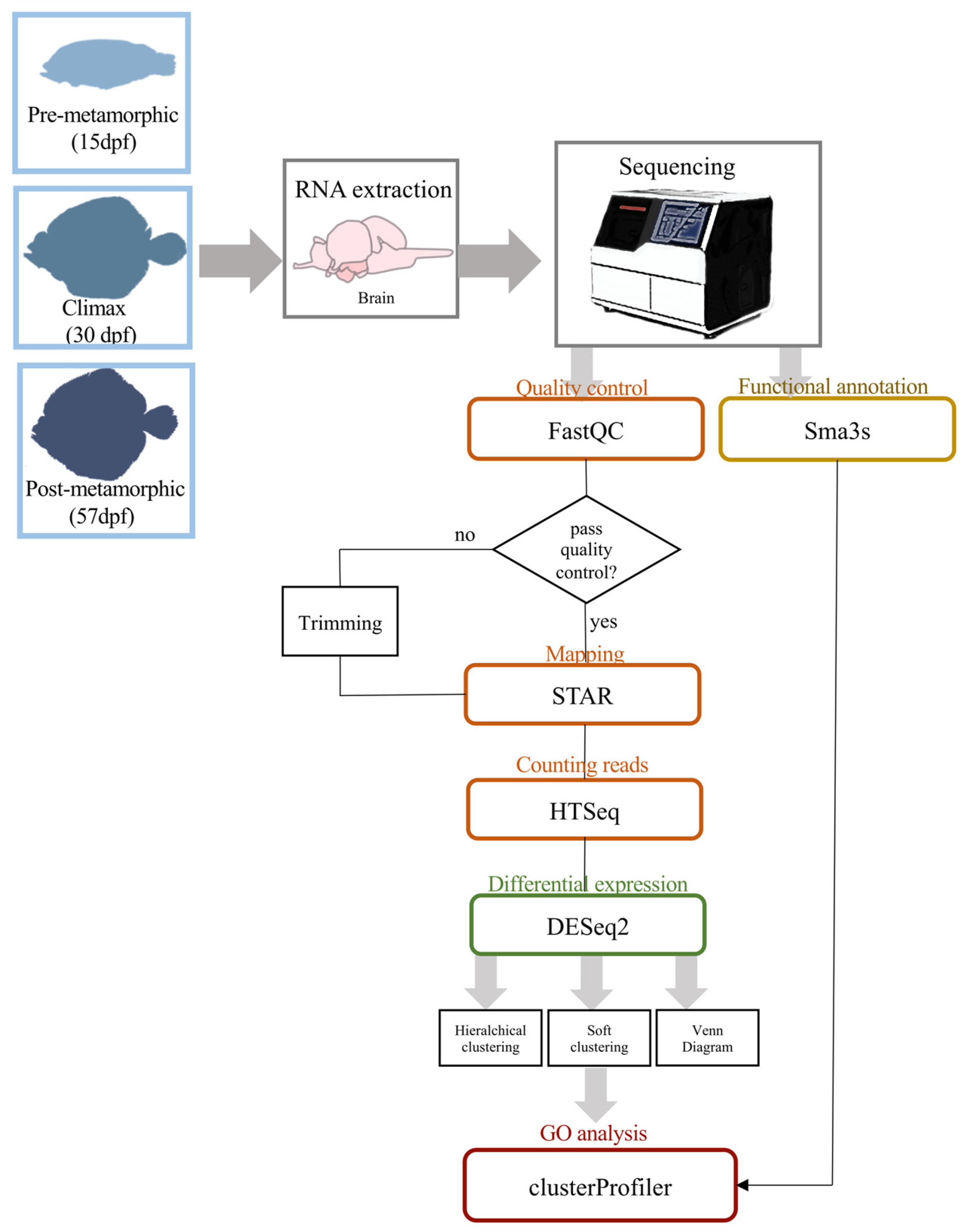 Biology 10 01256 g002