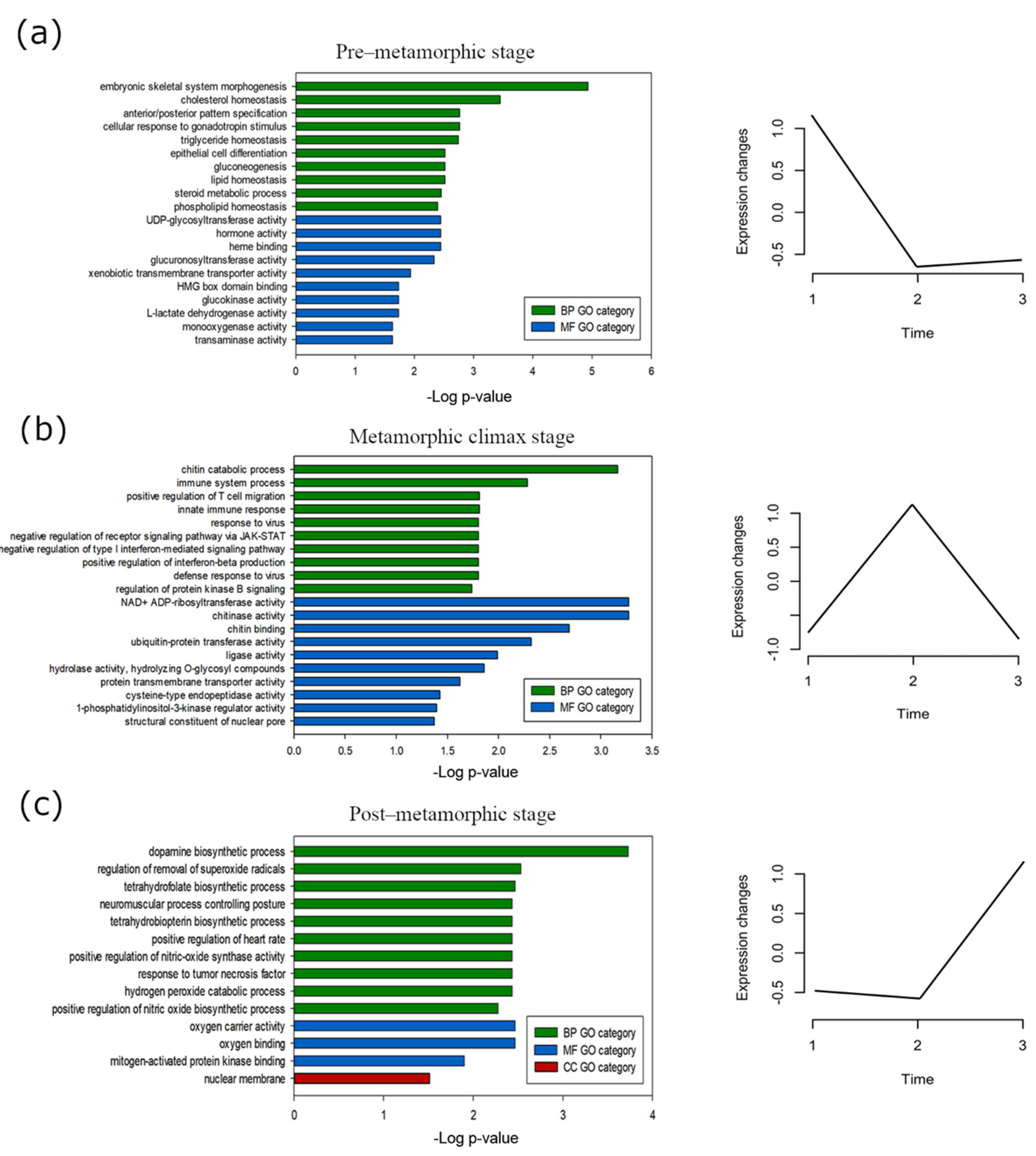 Biology 10 01256 g006