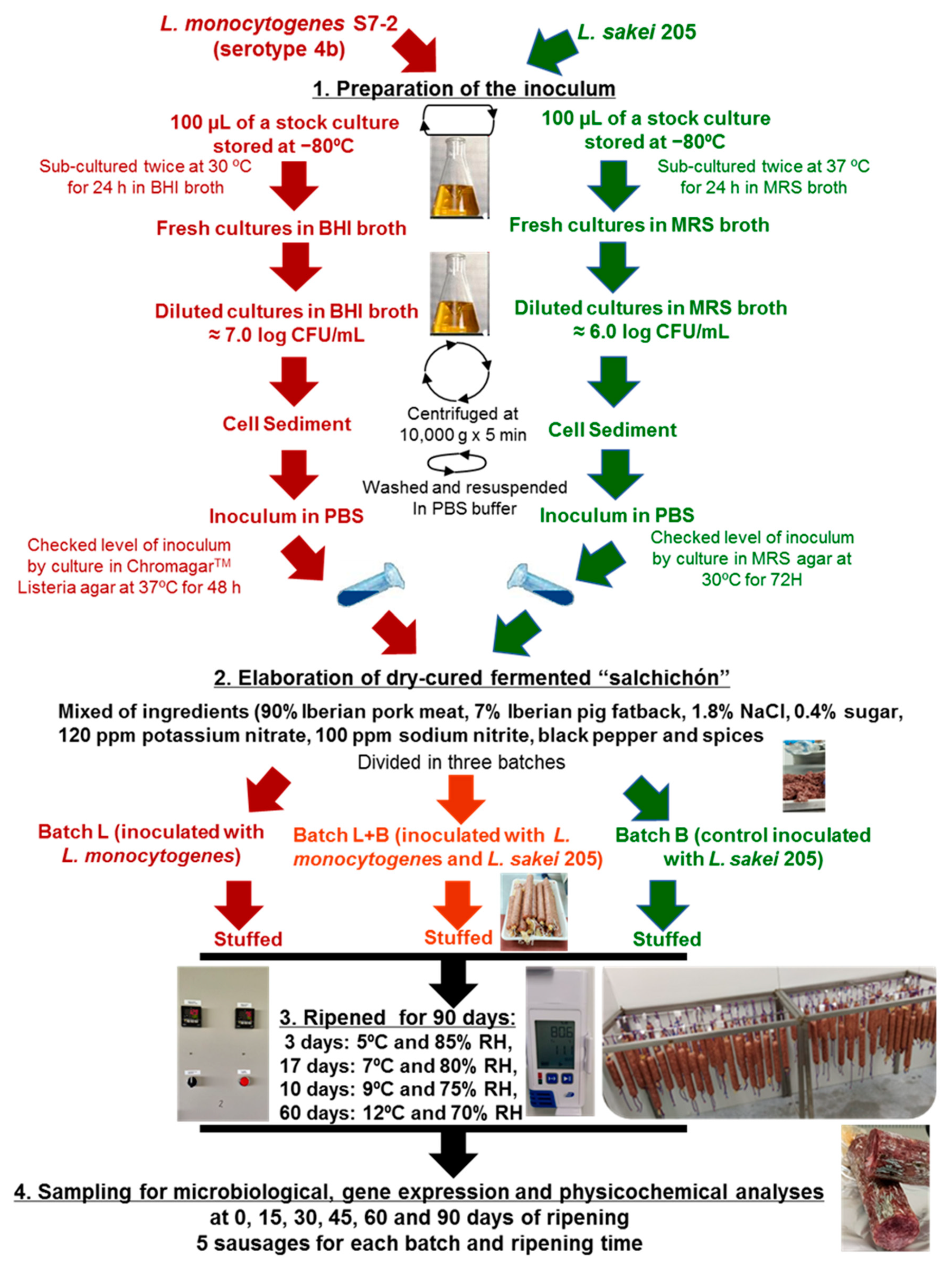 Biology 10 01258 g001