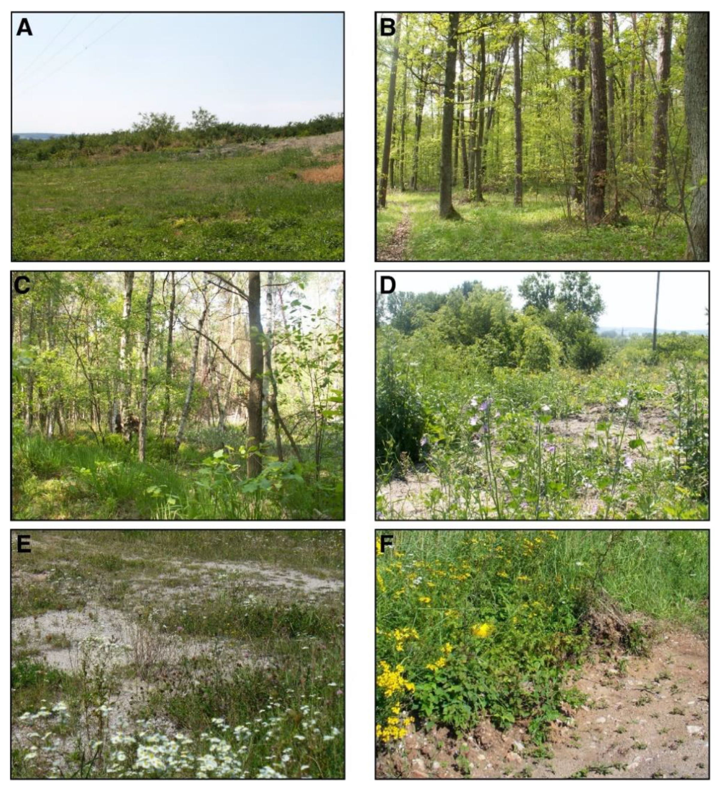 Biology 10 01266 g002 550