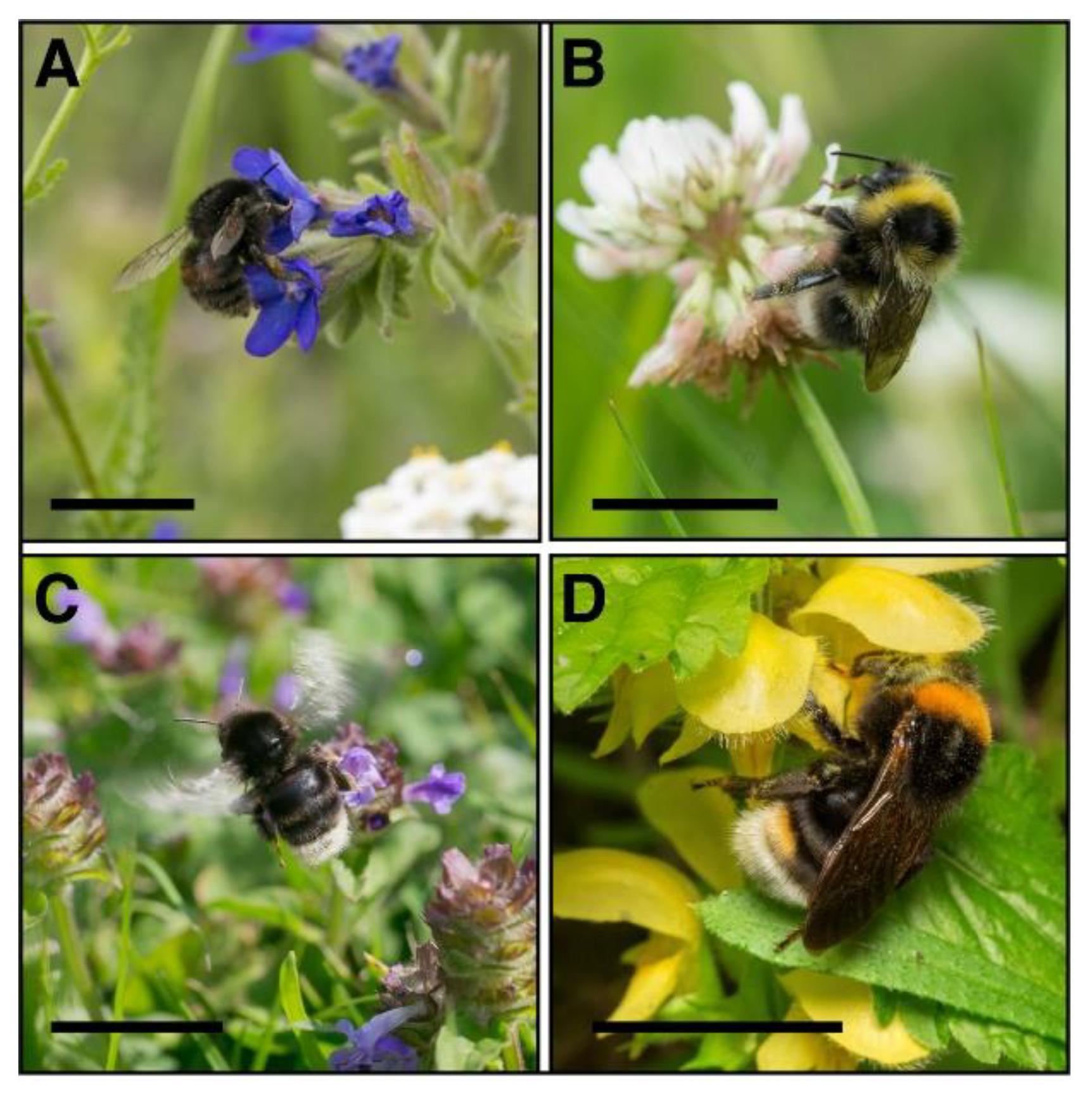 Biology 10 01266 g009 550