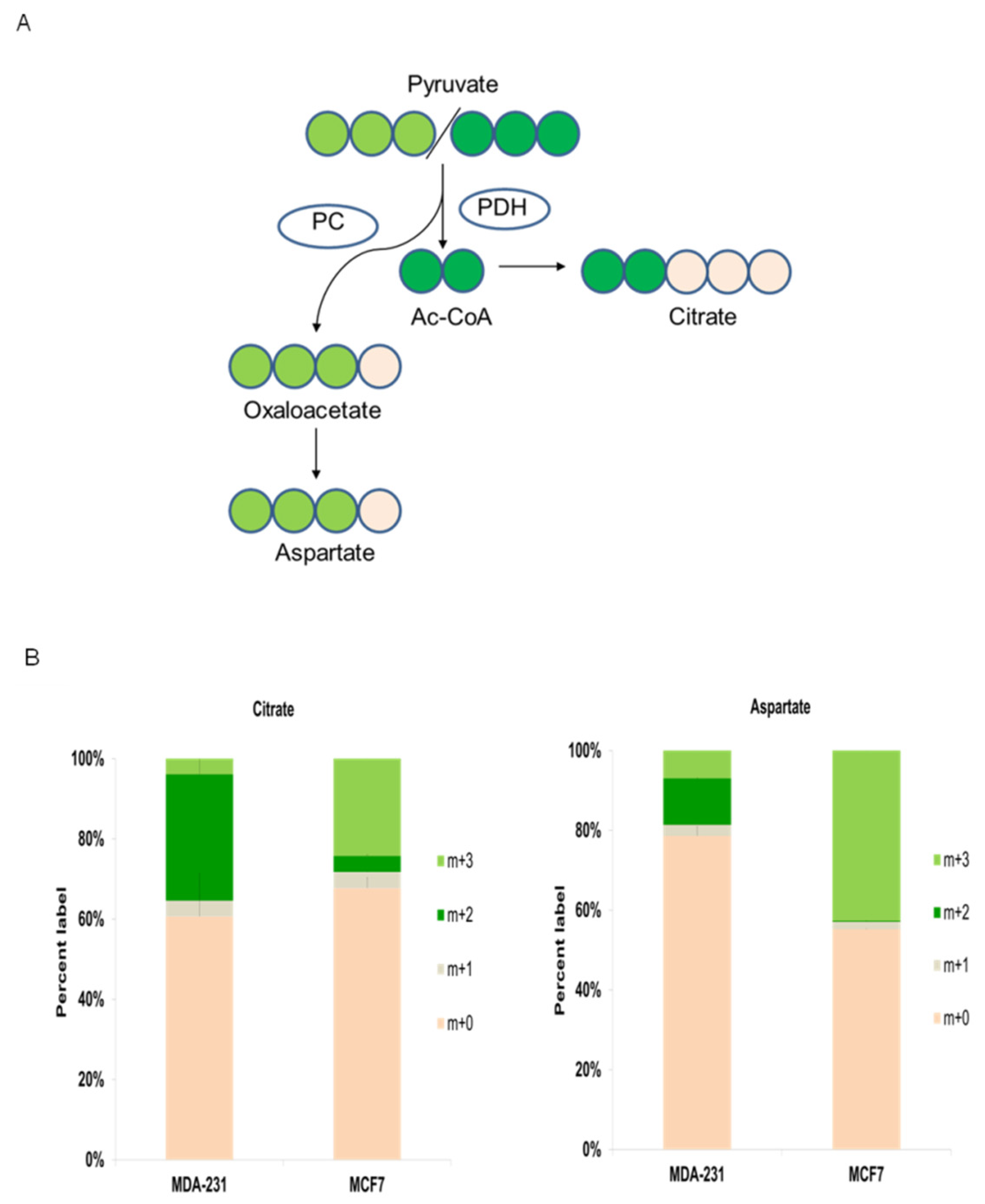 Biology 10 01267 g005 550