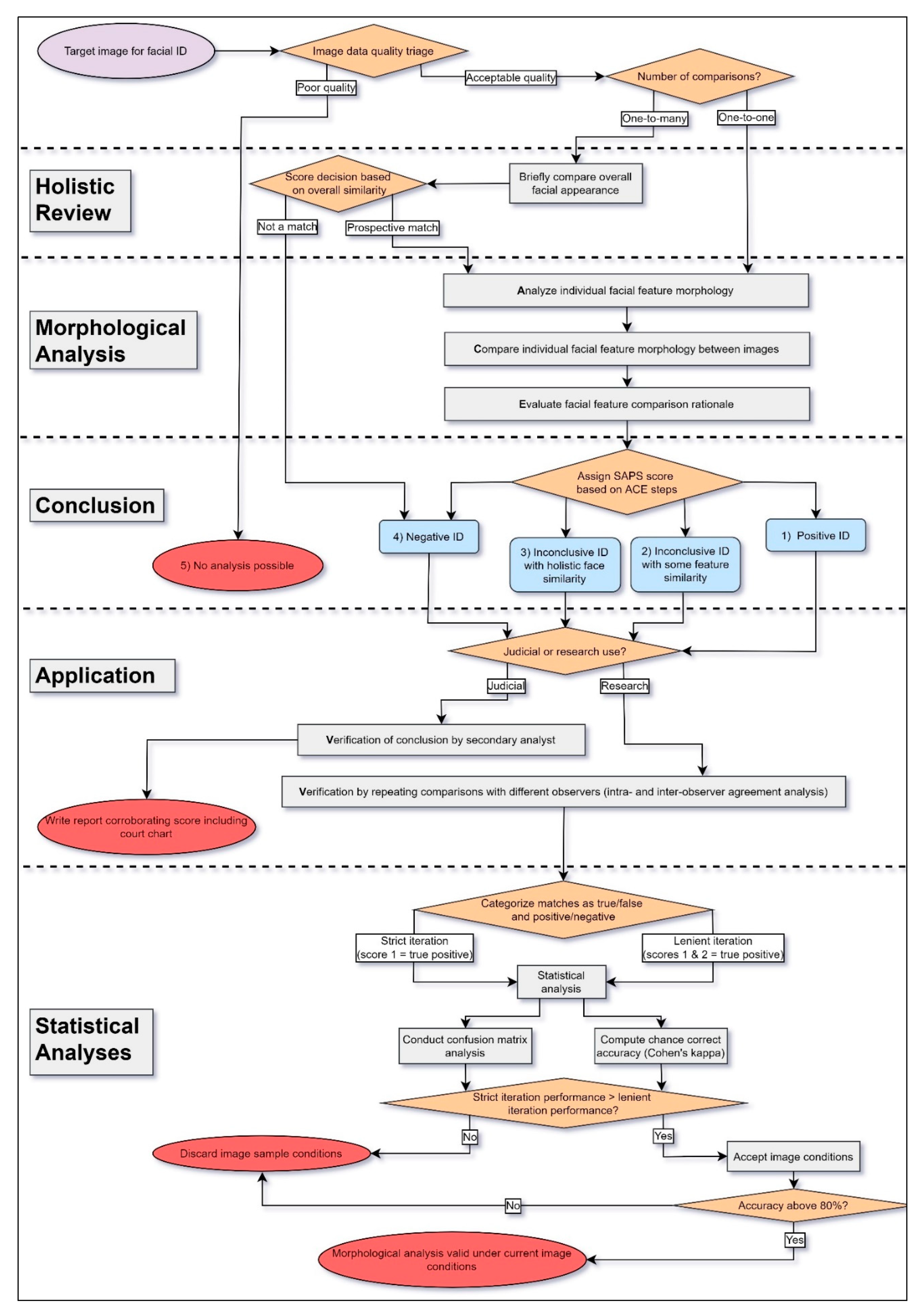 Biology 10 01269 g003 550
