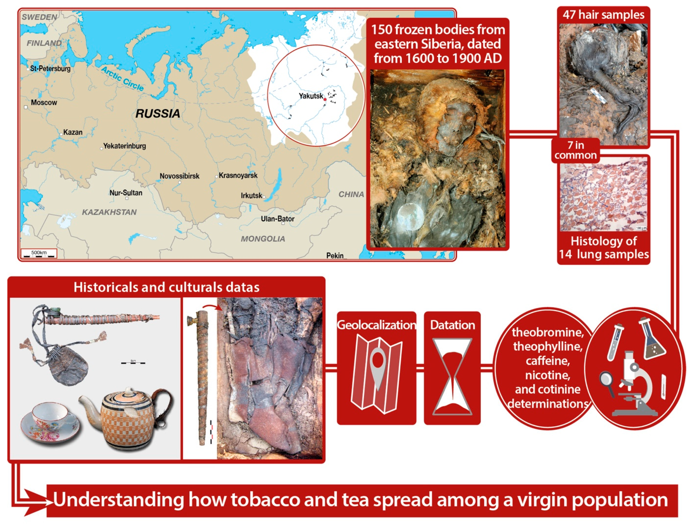 Biology 10 01271 g001