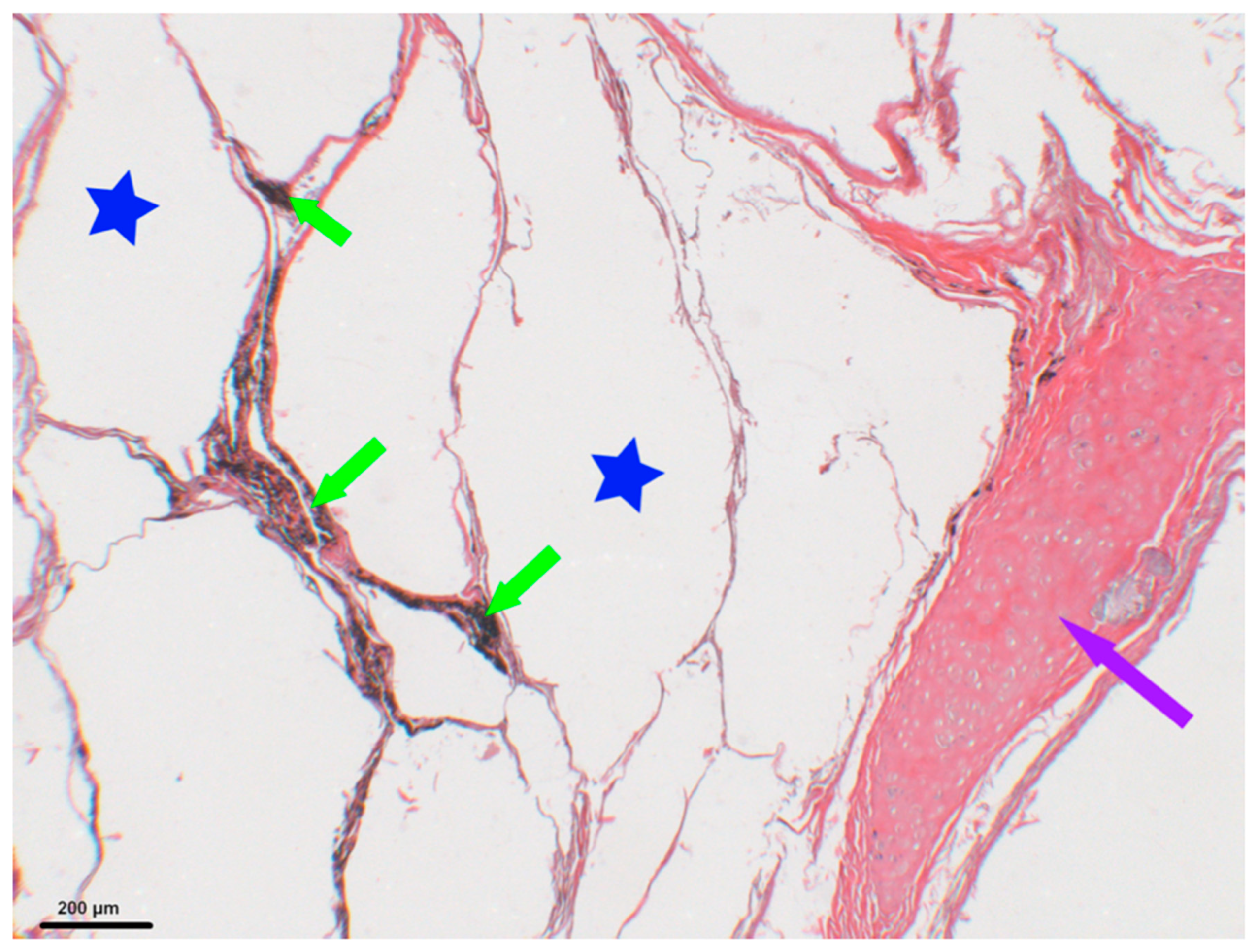 Biology 10 01271 g003
