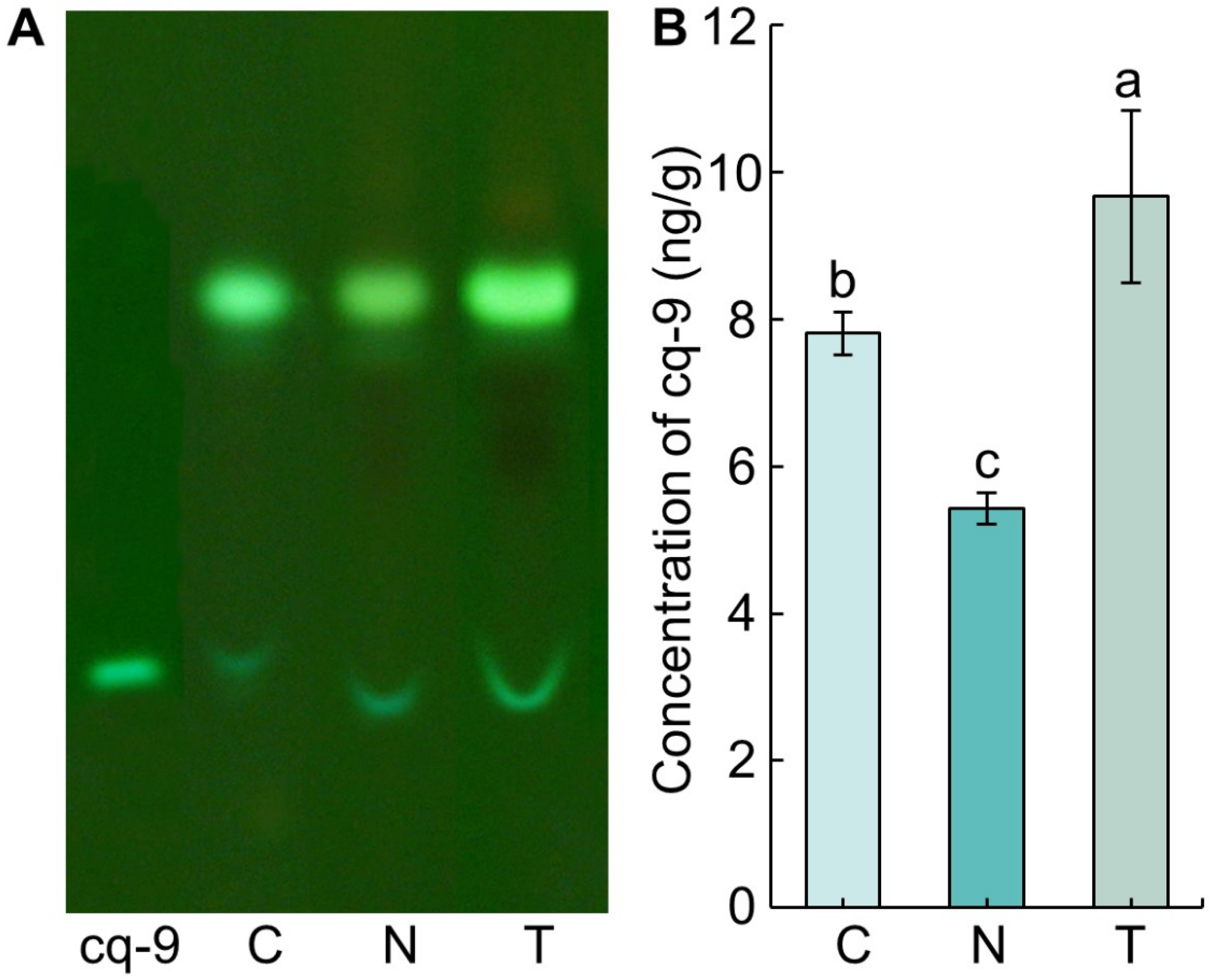 Biology 10 01273 g001