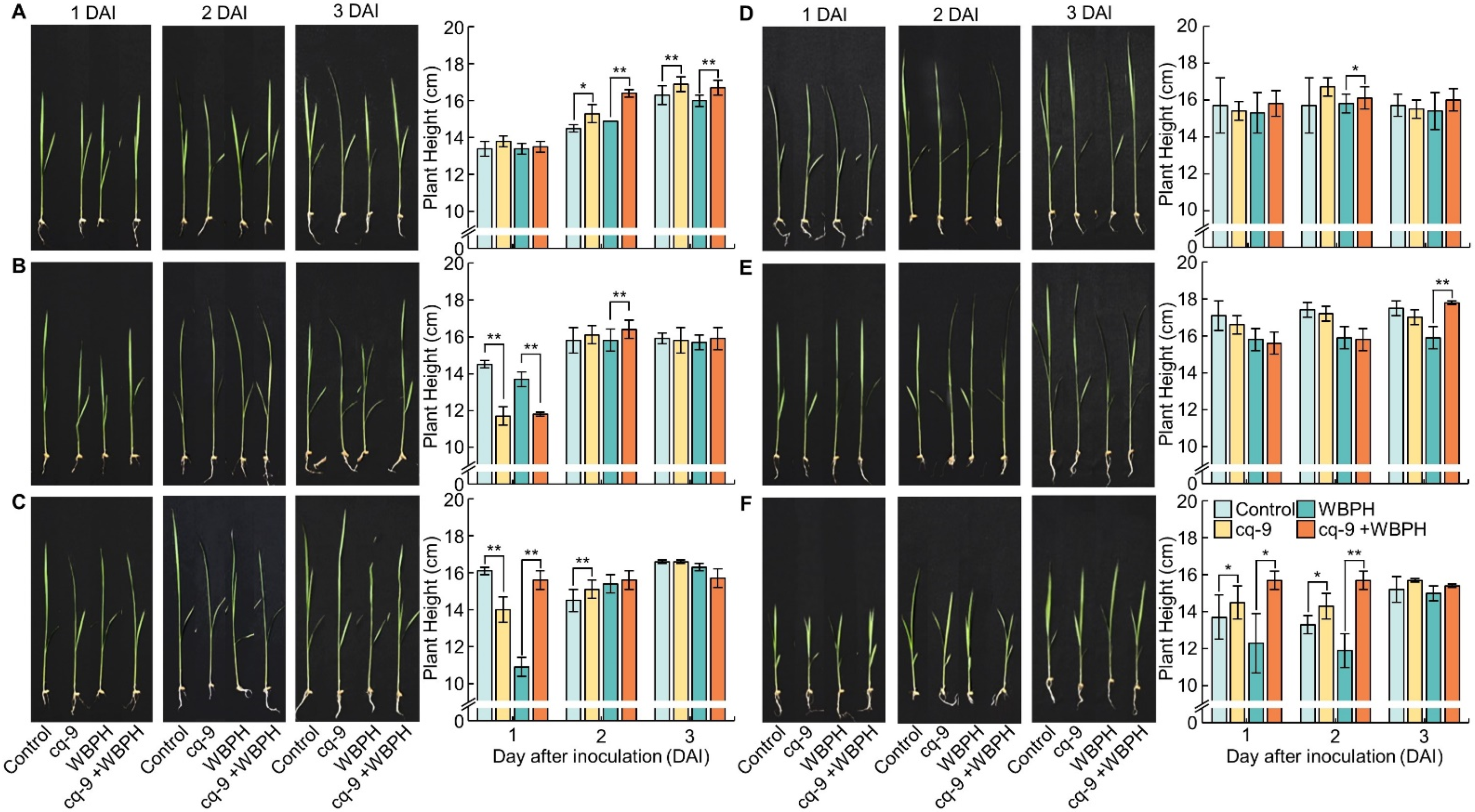 Biology 10 01273 g003