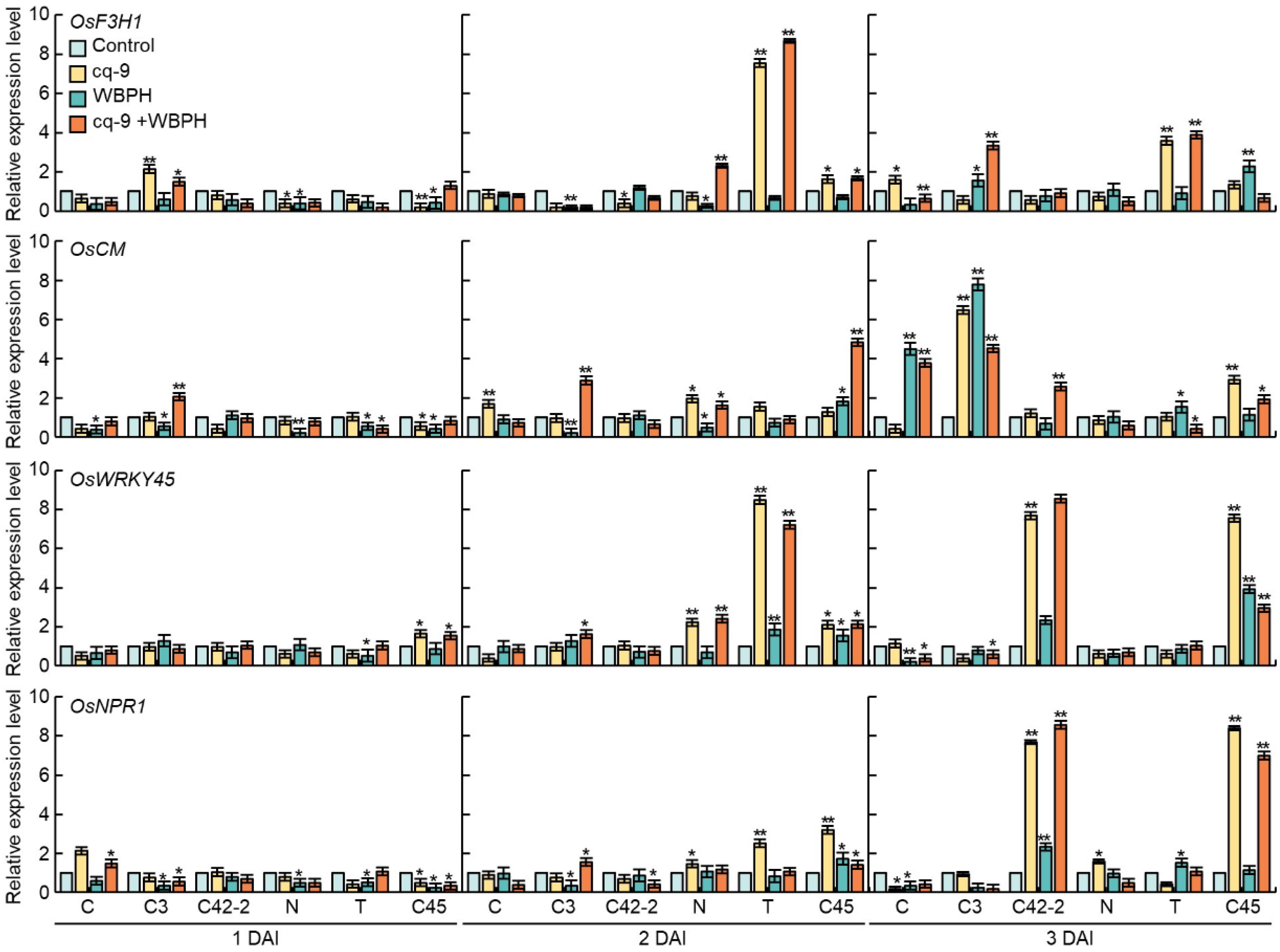 Biology 10 01273 g004