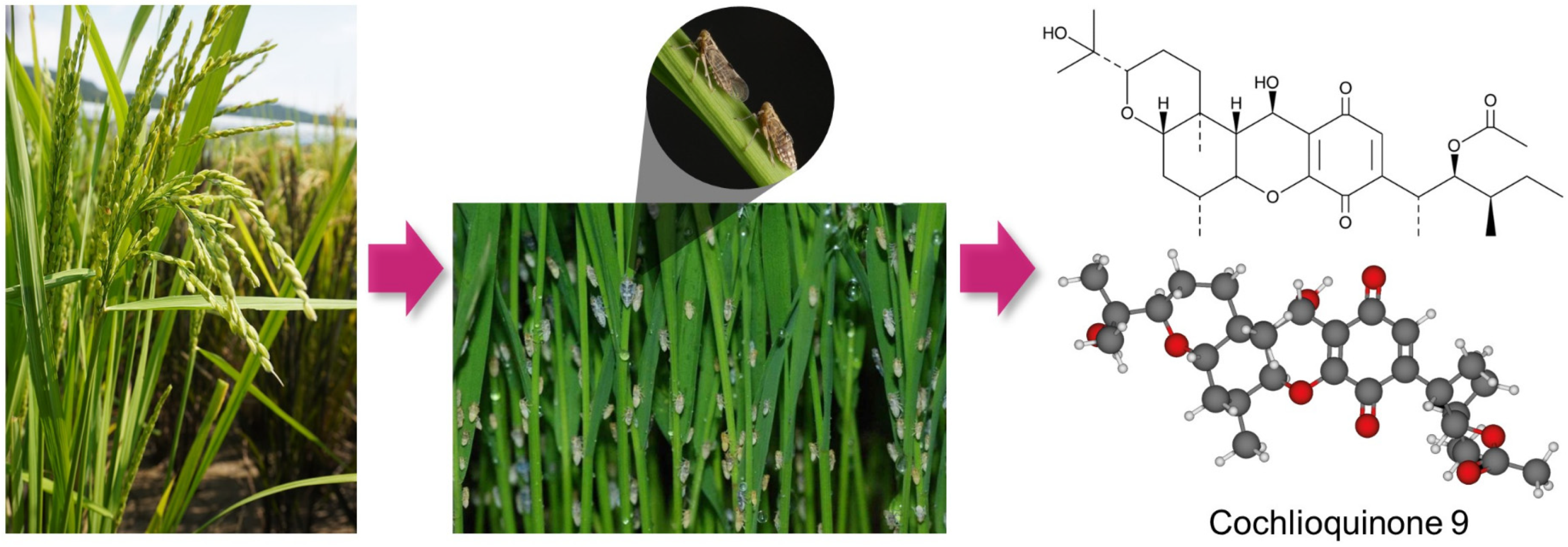 Biology 10 01273 g005