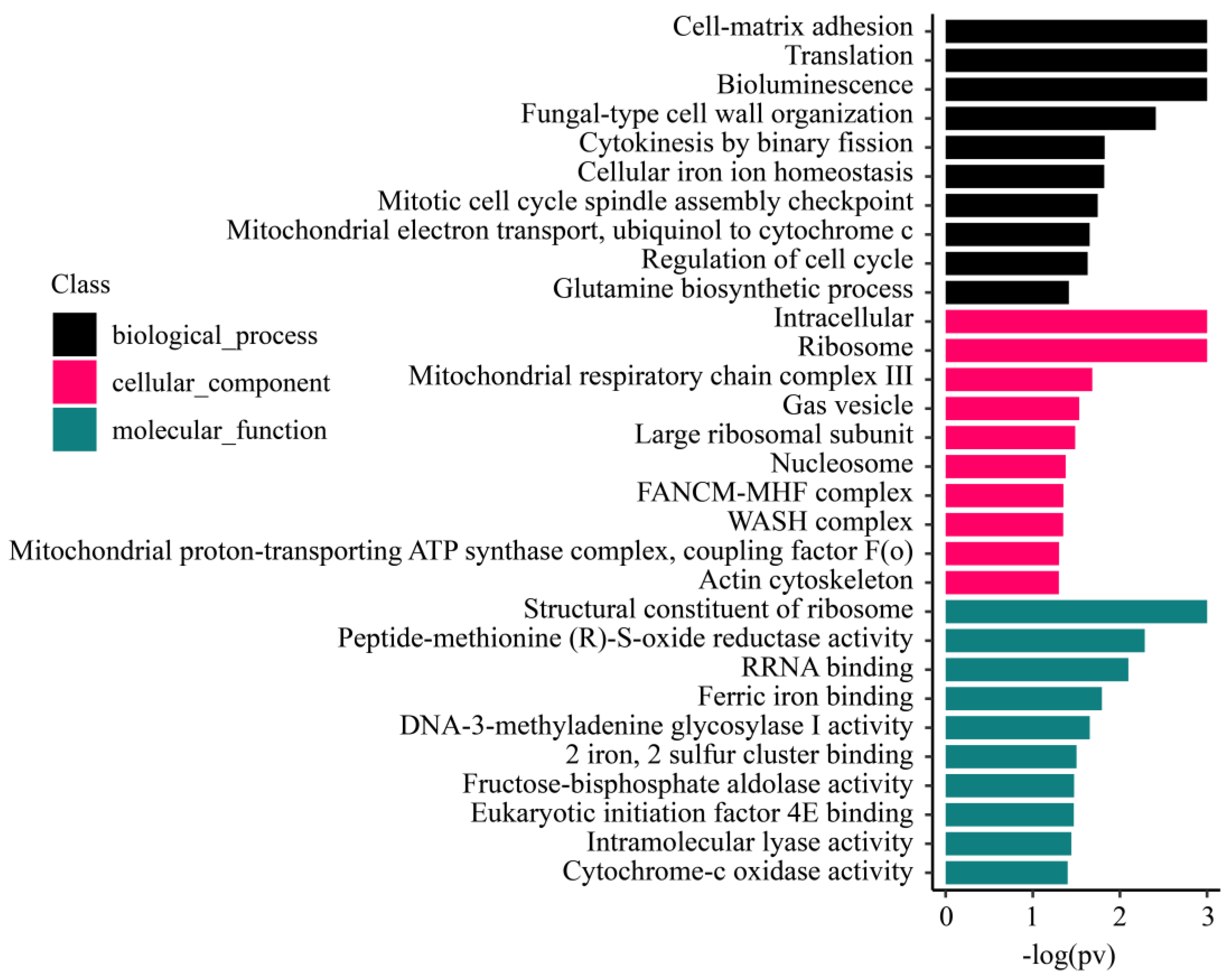Biology 10 01274 g007 Biology 10 01274 g007