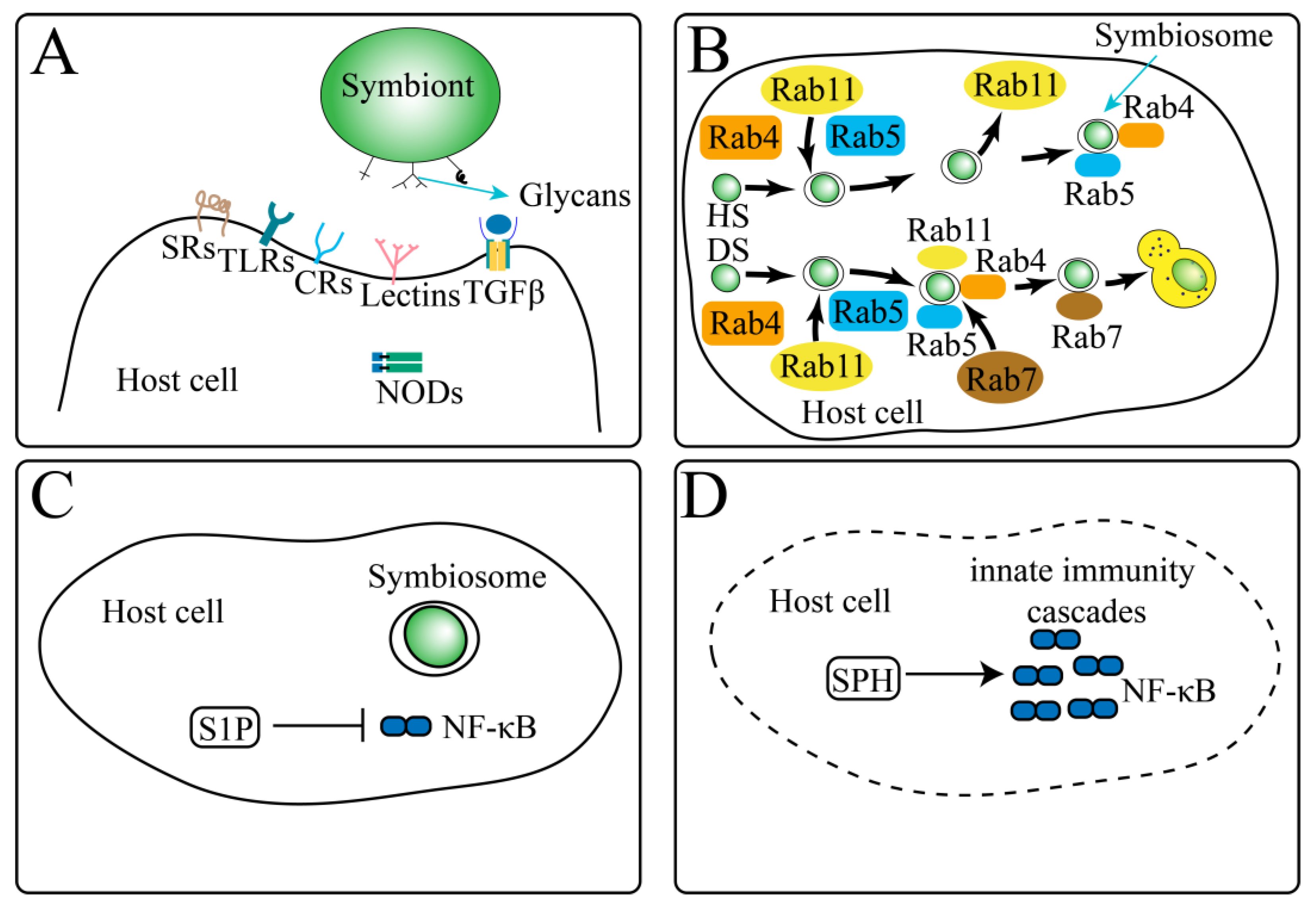 Biology 10 01274 g008 Biology 10 01274 g008