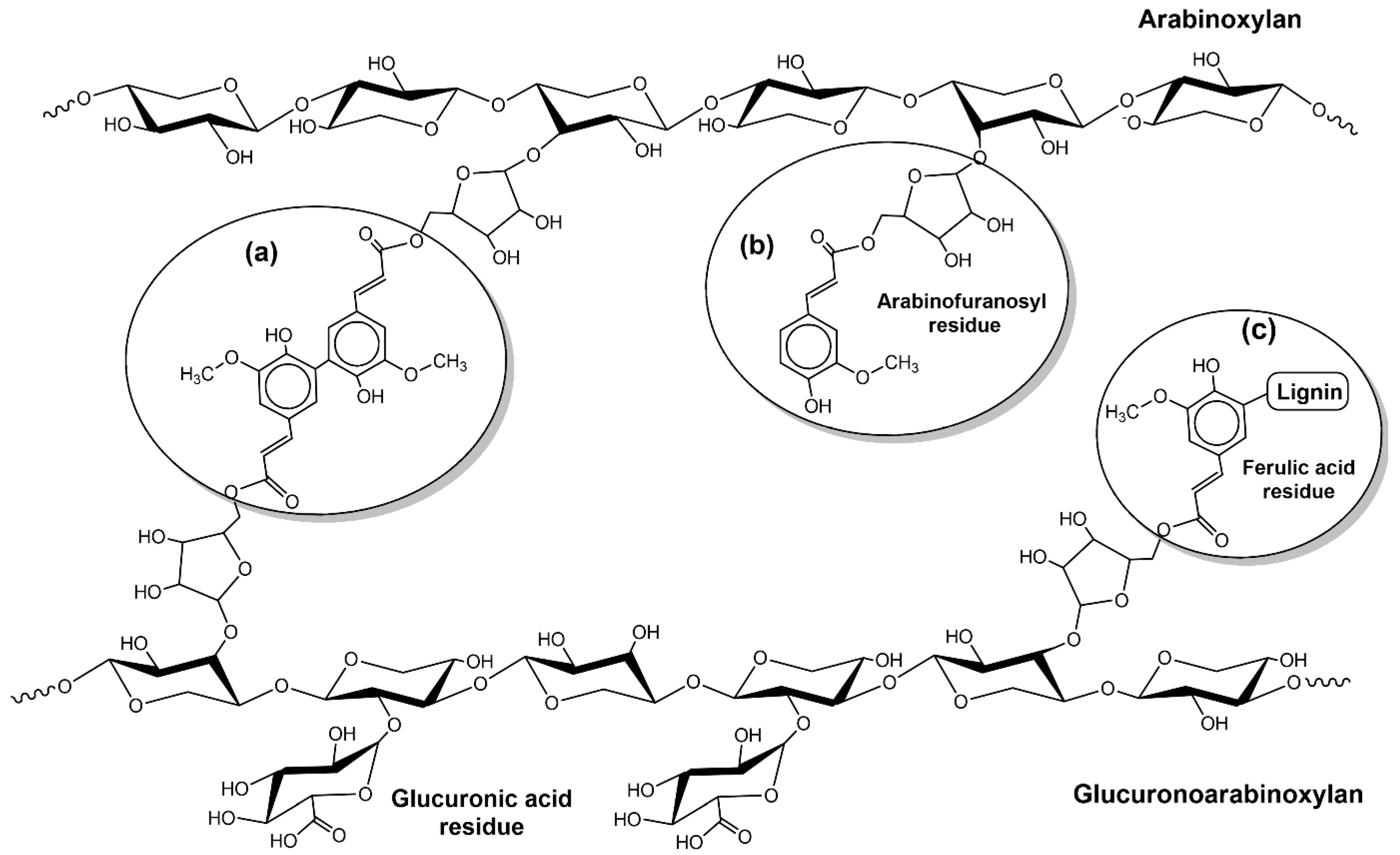 Biology 10 01277 g002