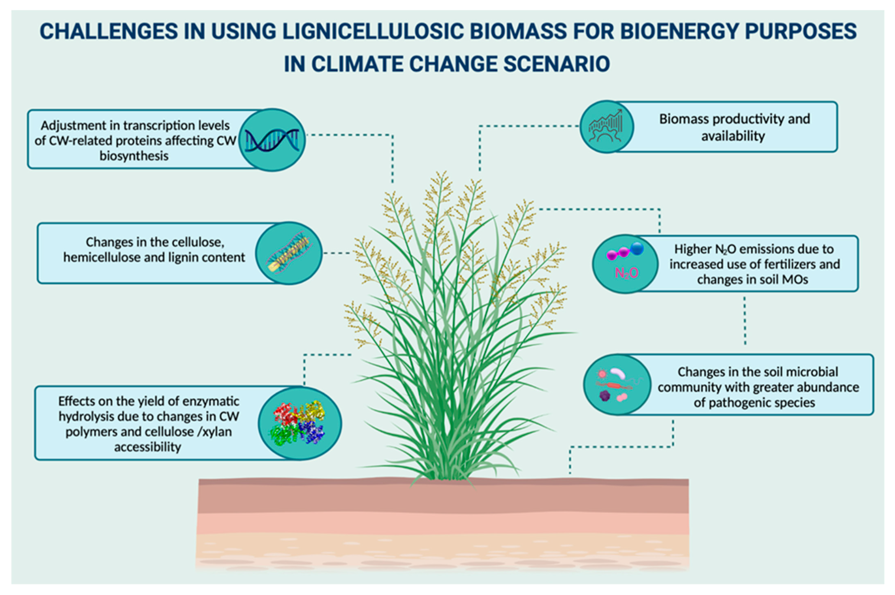 Biology 10 01277 g005