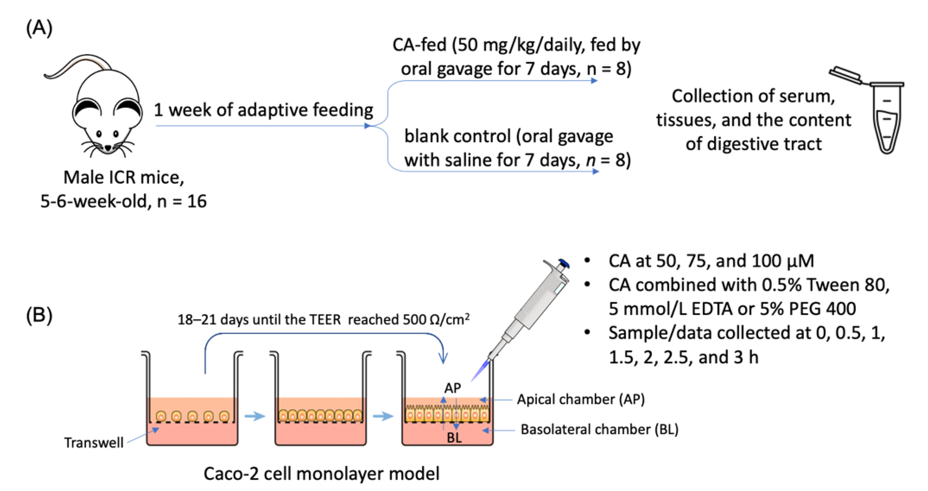 Biology 10 01278 g002
