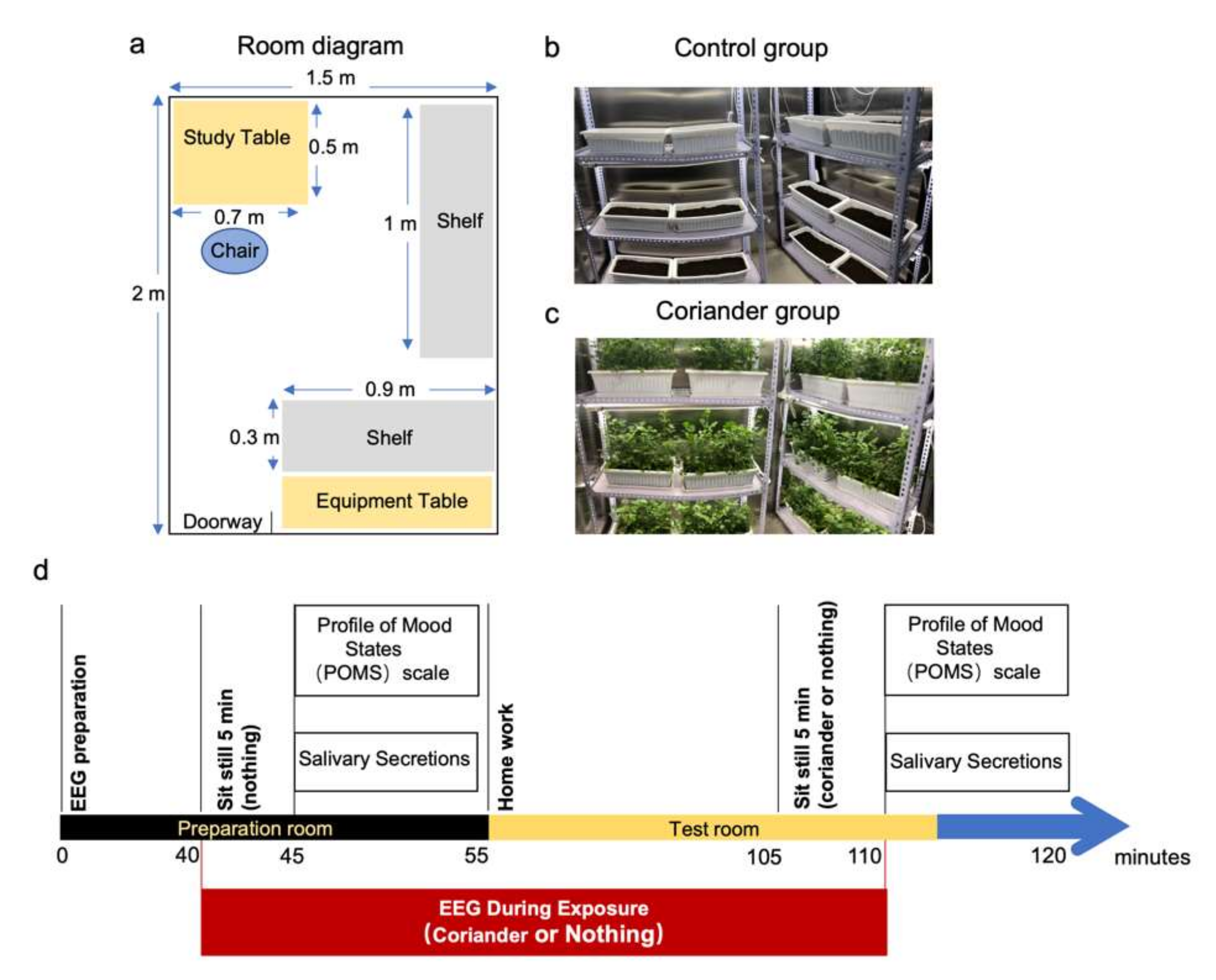 Biology 10 01283 g001