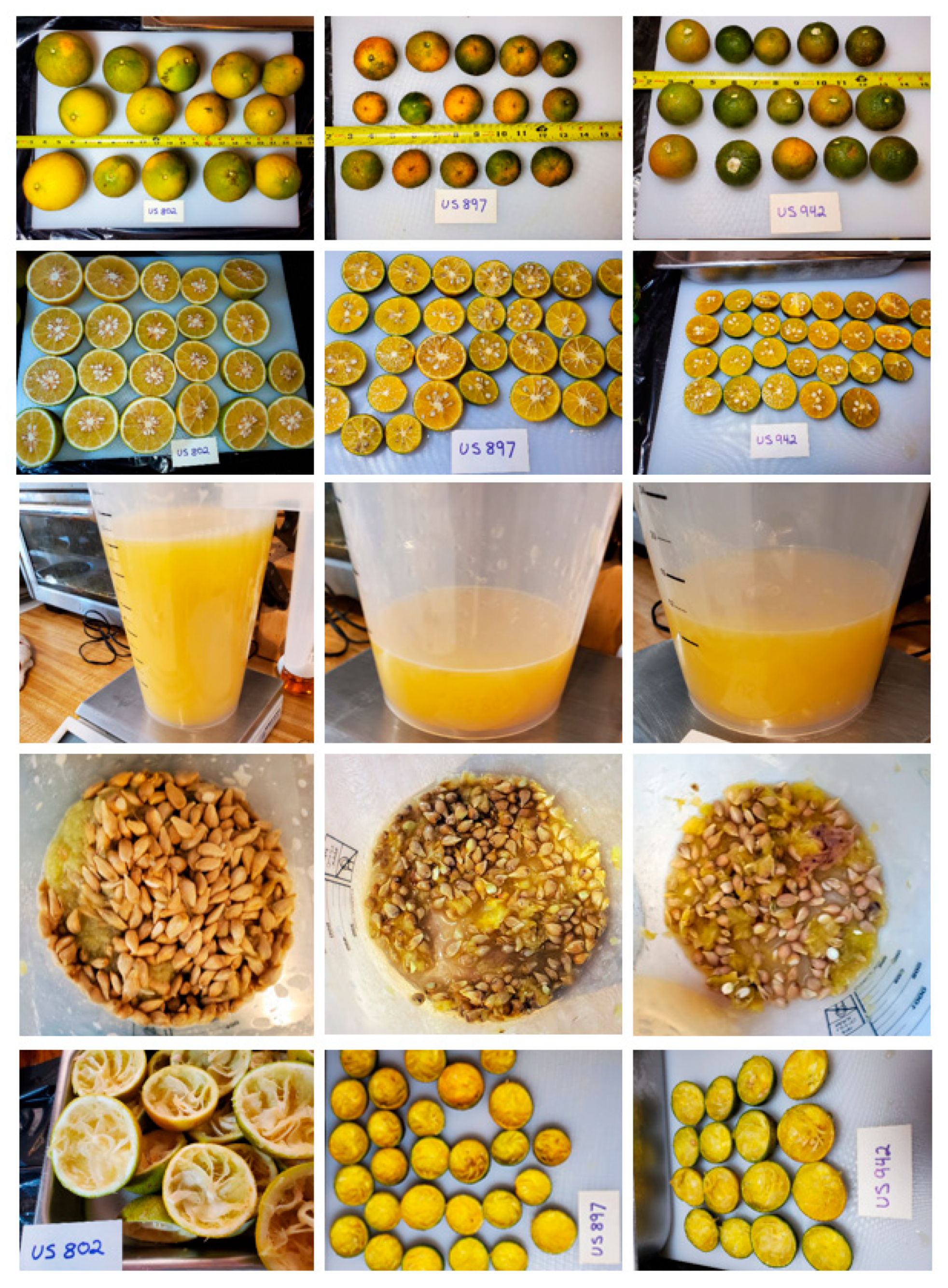 Biology 10 01285 g002