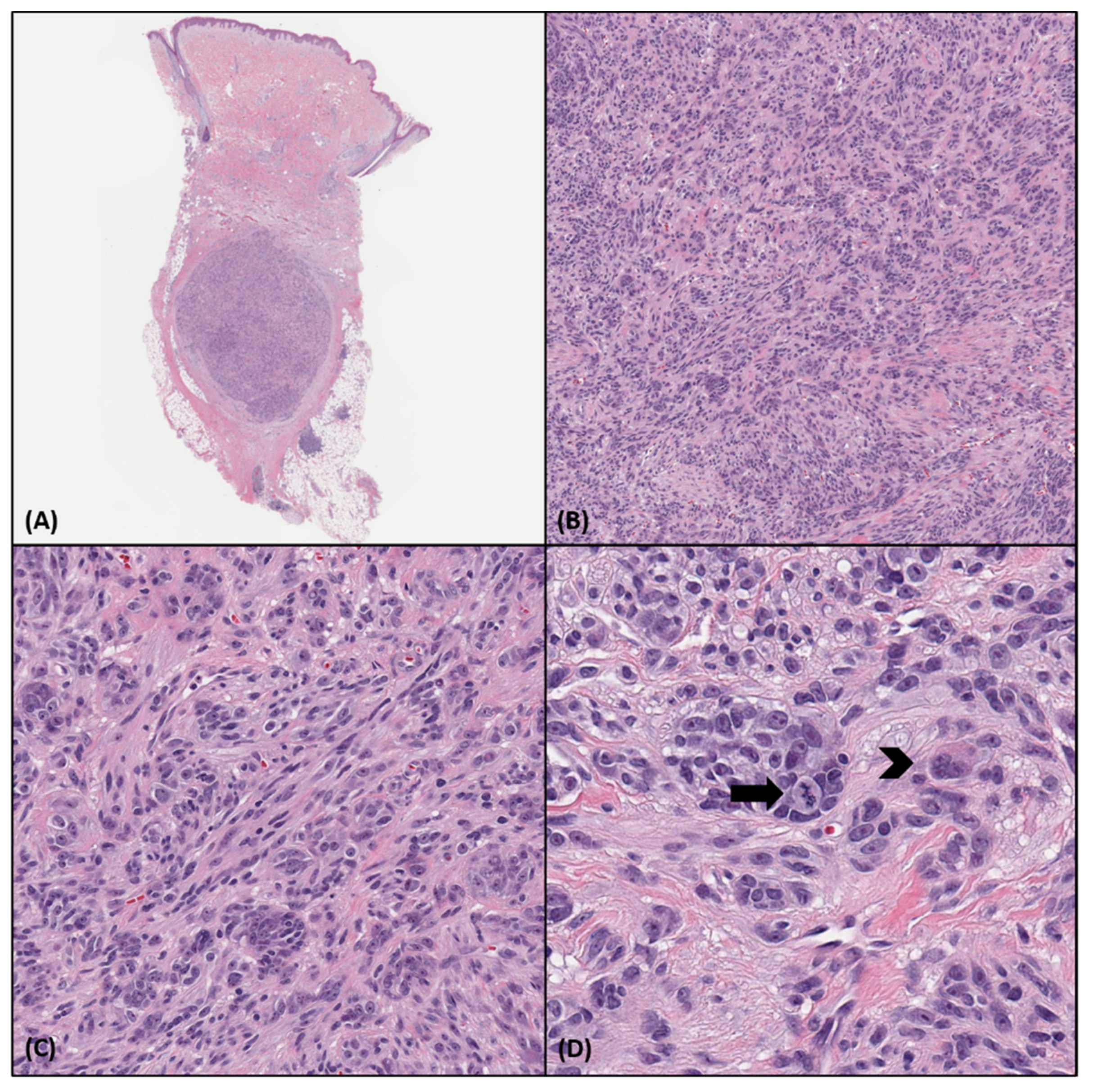Biology 10 01286 g001