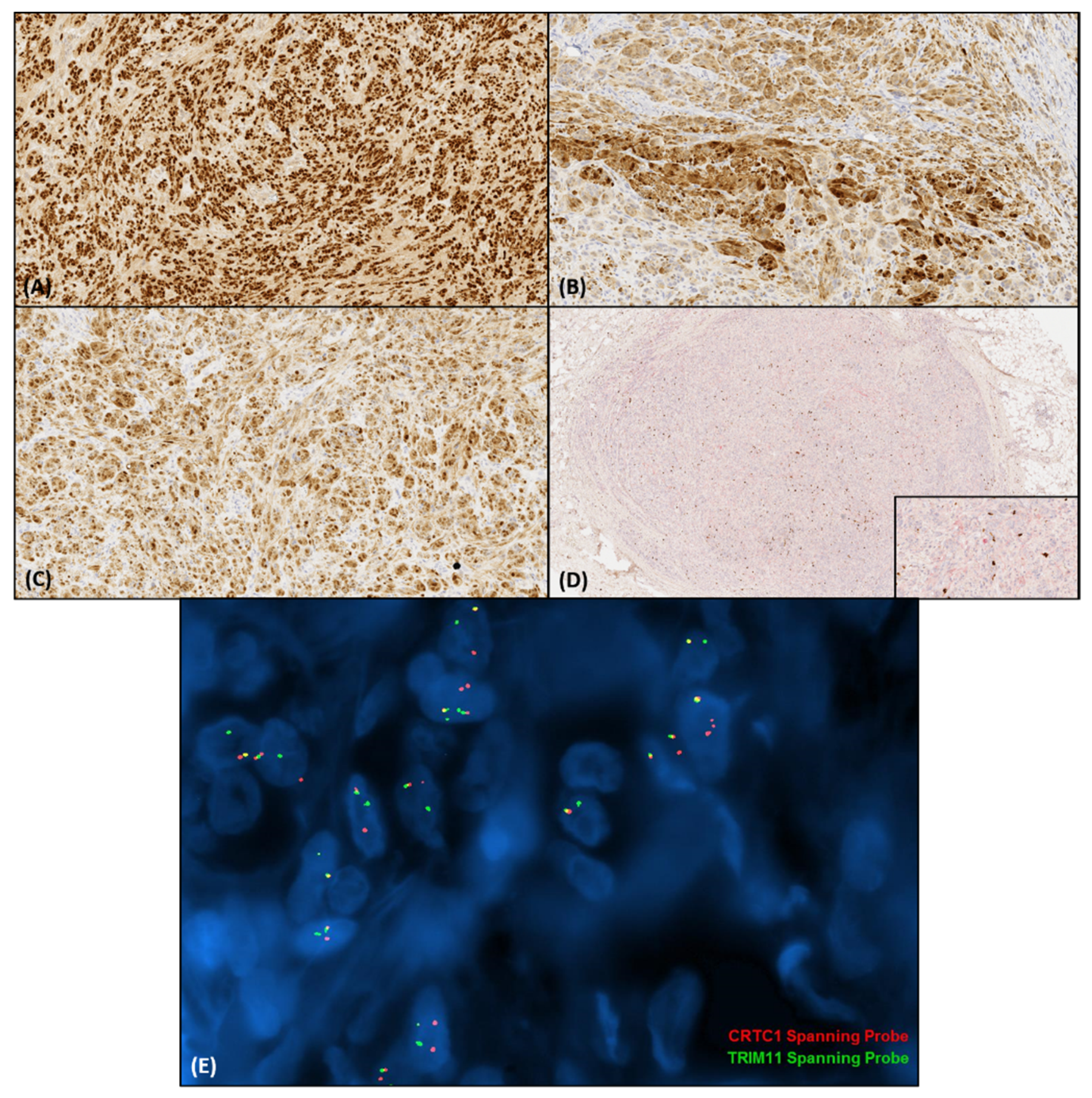 Biology 10 01286 g002