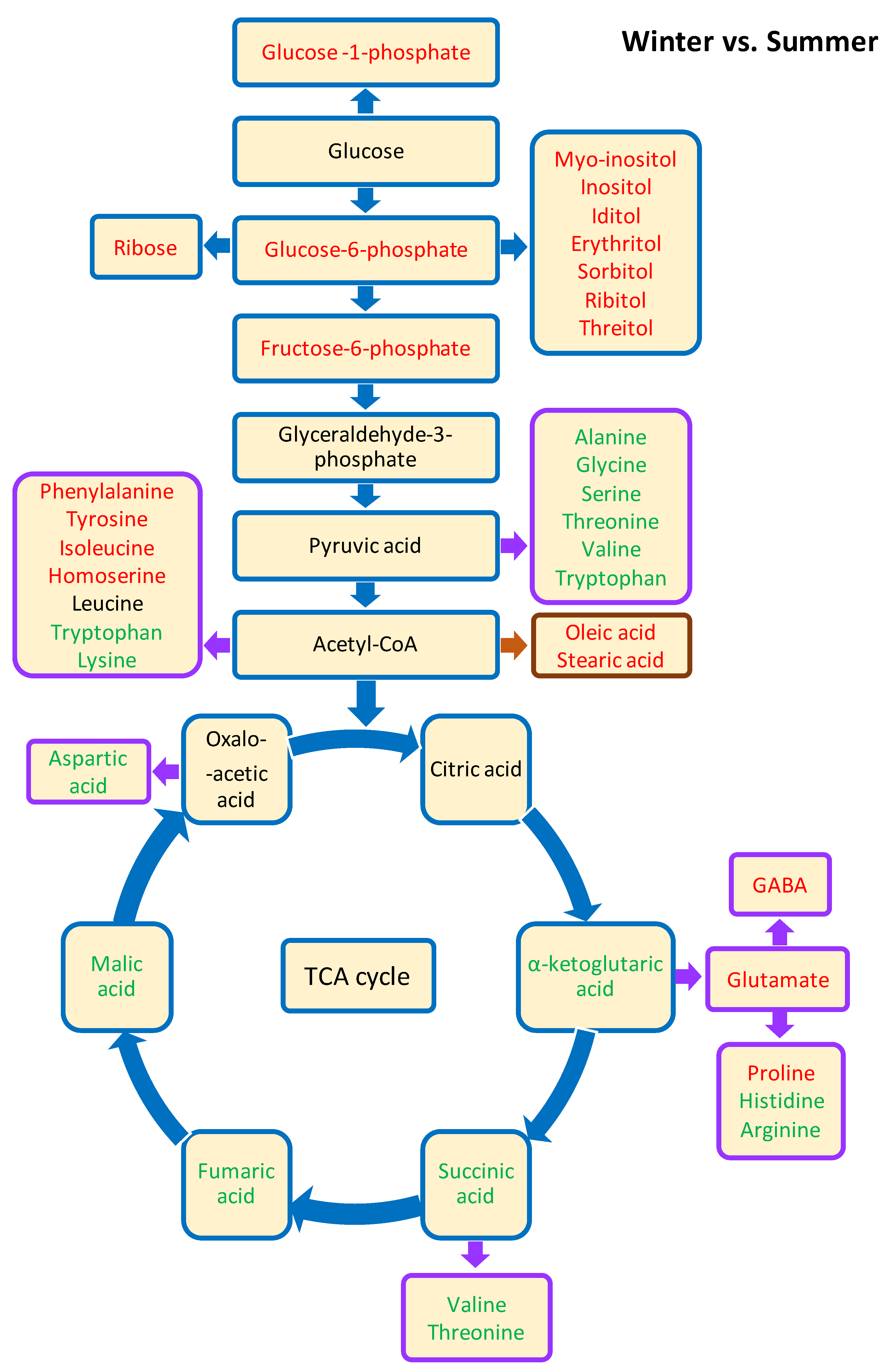 Biology 10 01288 g004